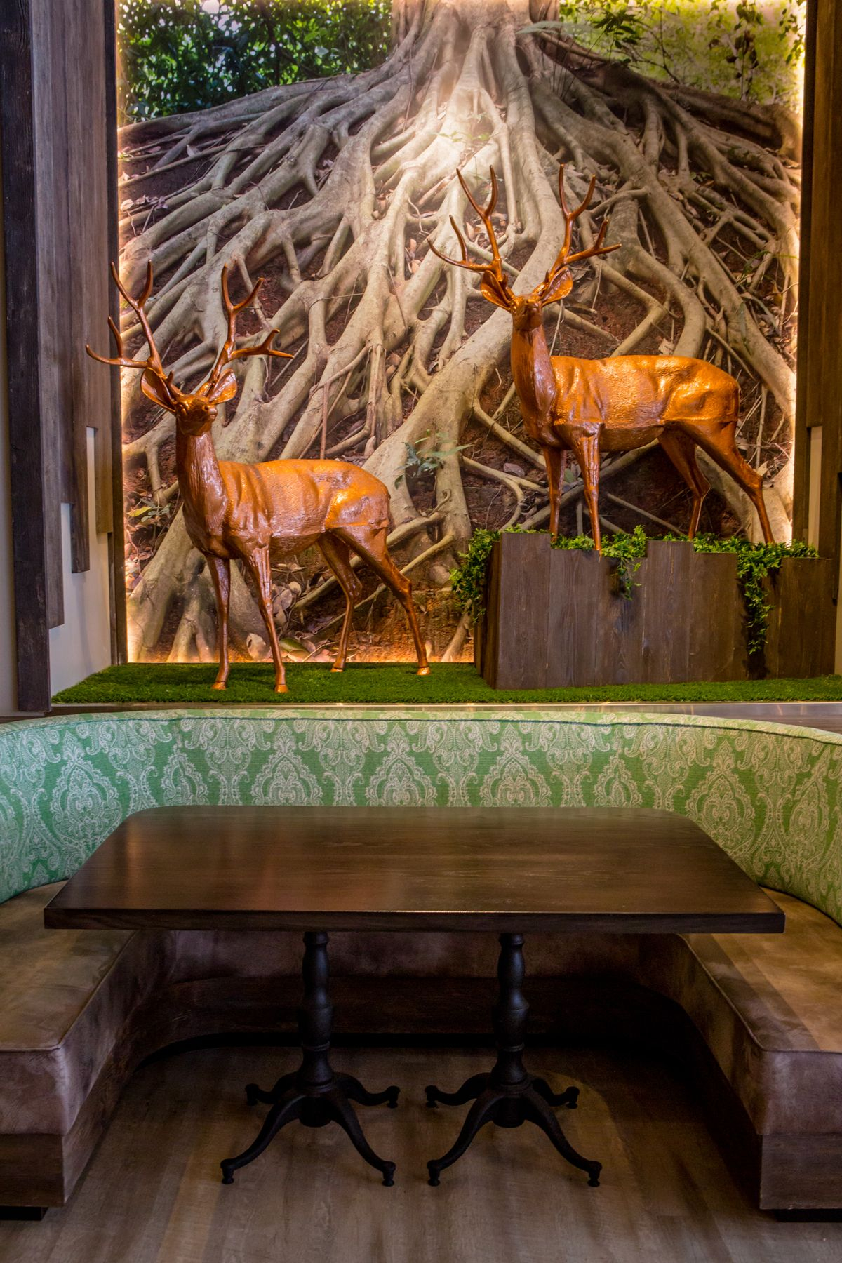 rustic_root-24 Rustic Root