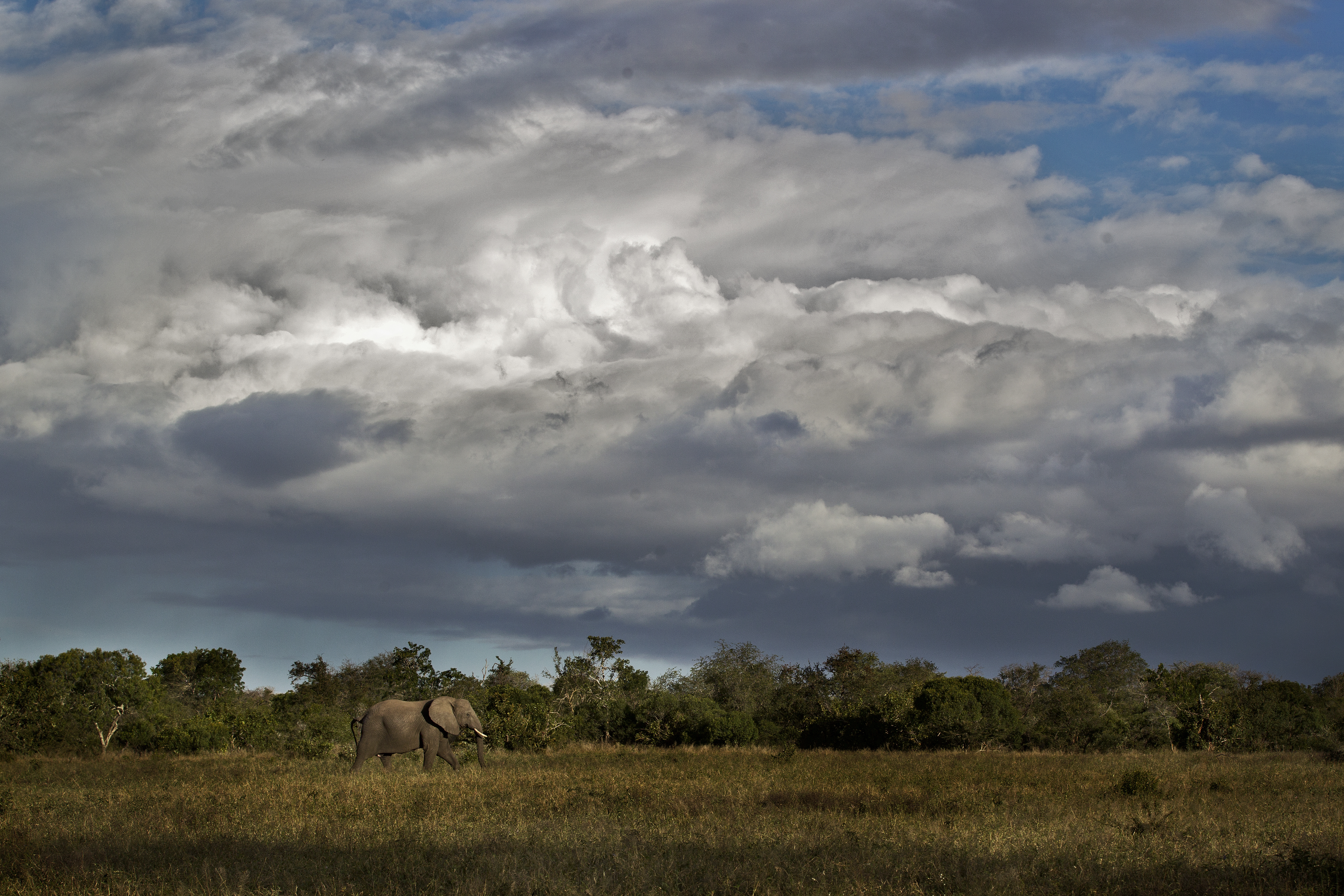 Stormy-skies Royal Malewane