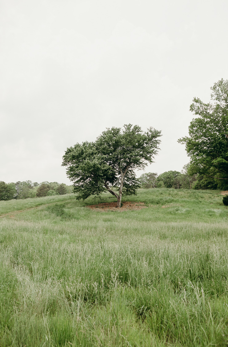 TheGreystoneEstate-JustenClay-02 The Greystone Estate