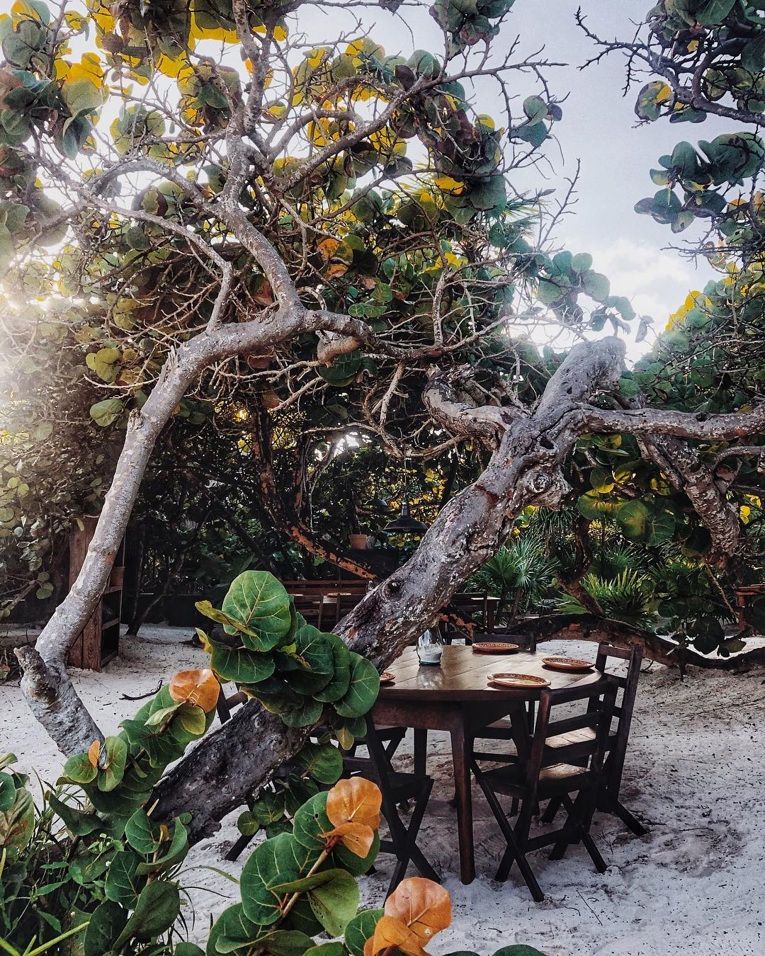 LoyalOrder-03 LOYAL ORDER