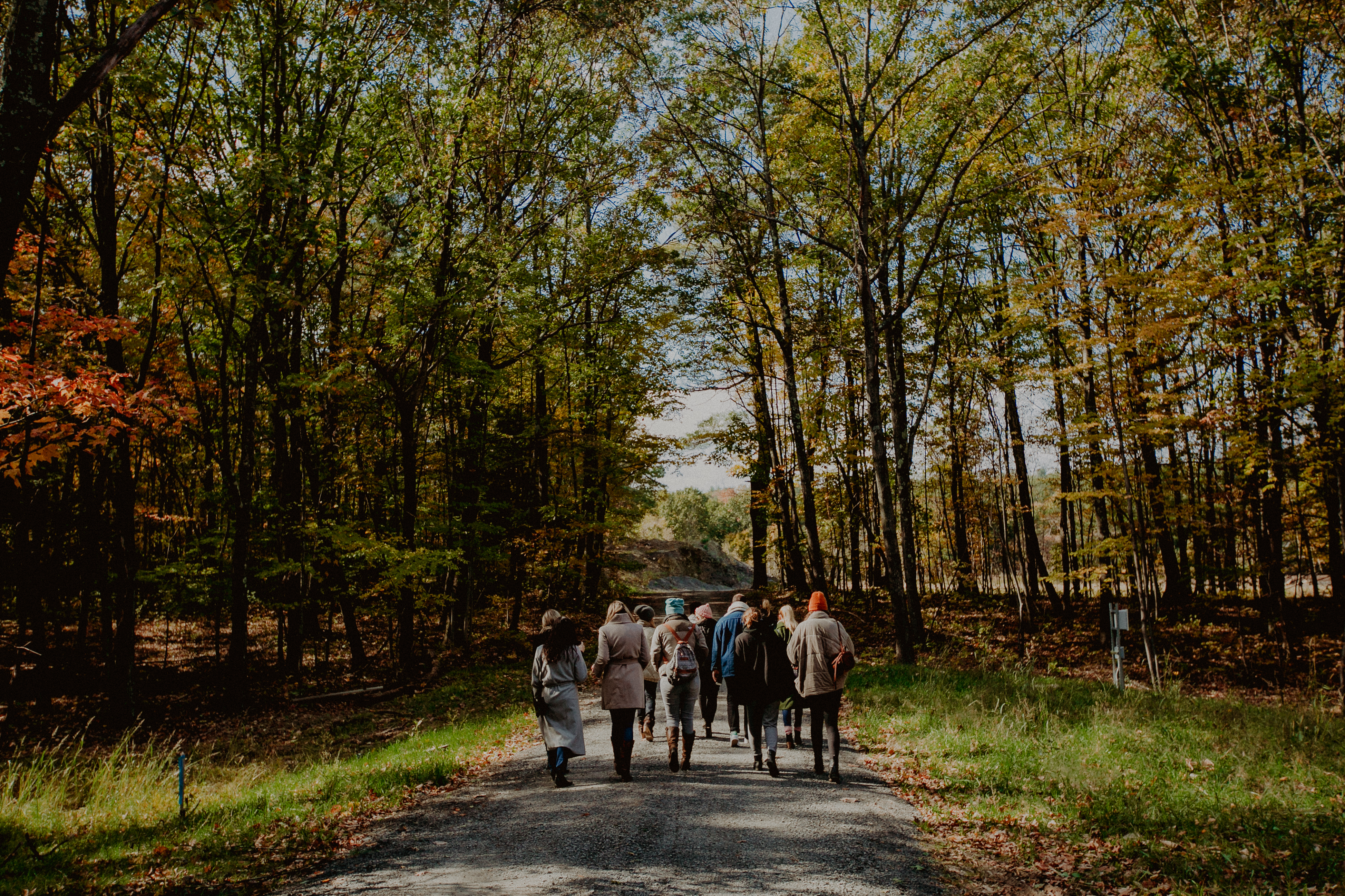 18-TheVenueReport-GatherGreene Gather Greene