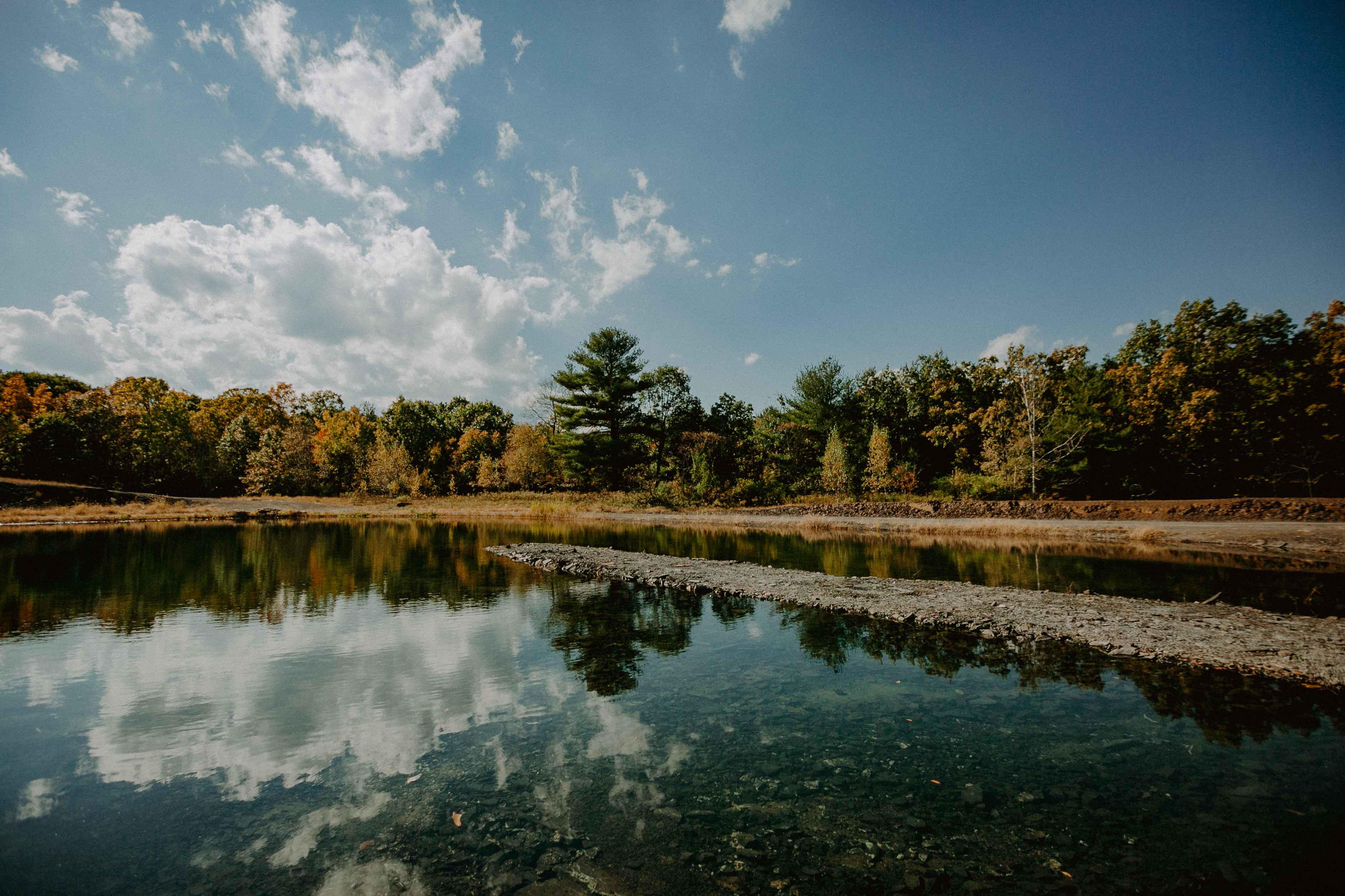 22-TheVenueReport-GatherGreene Gather Greene