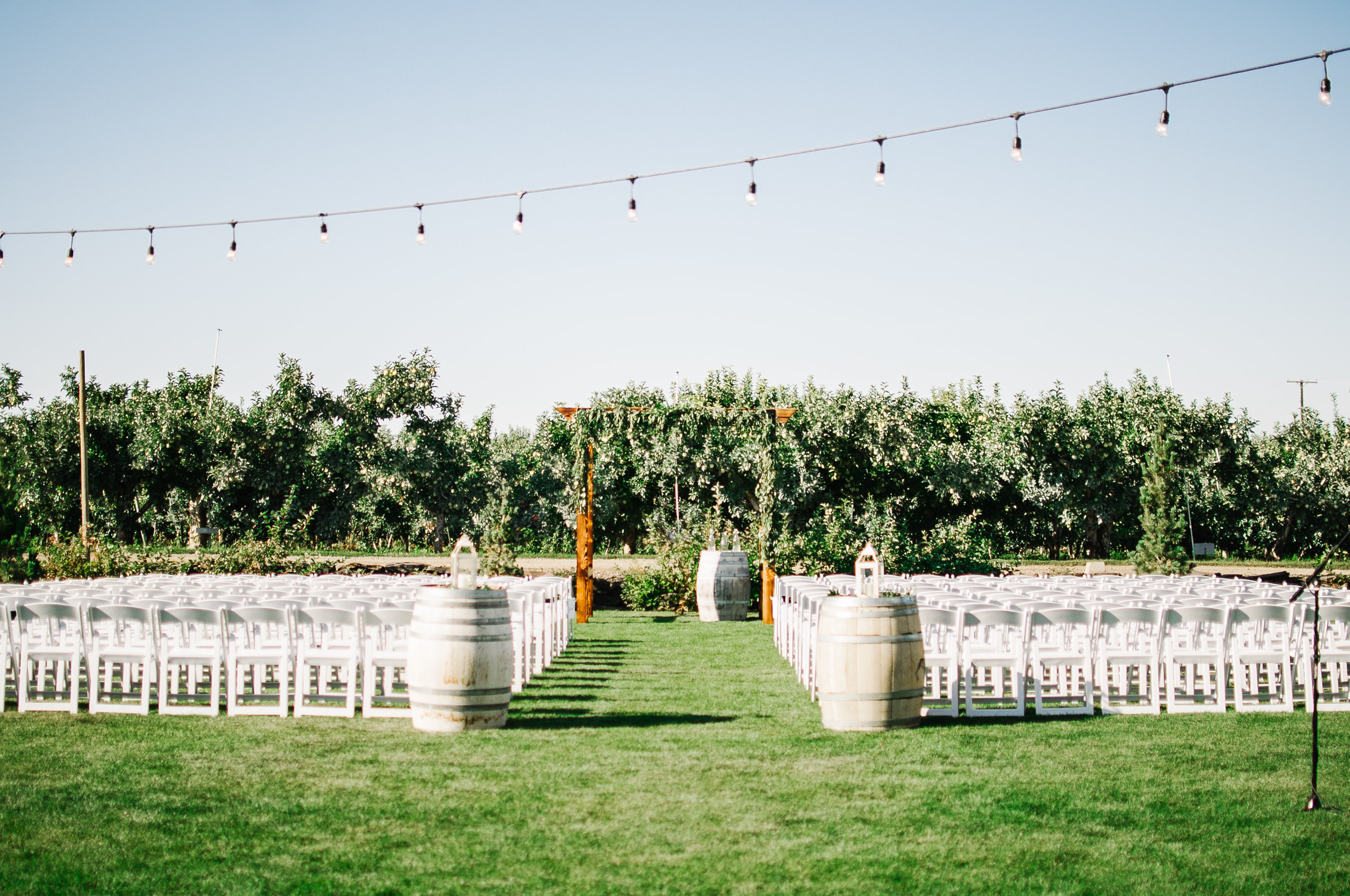 Laura Schlect Favorites-0047 Gilbert Cellars