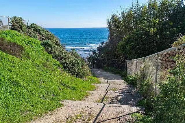 1704482680655-35 The Zumirez Four