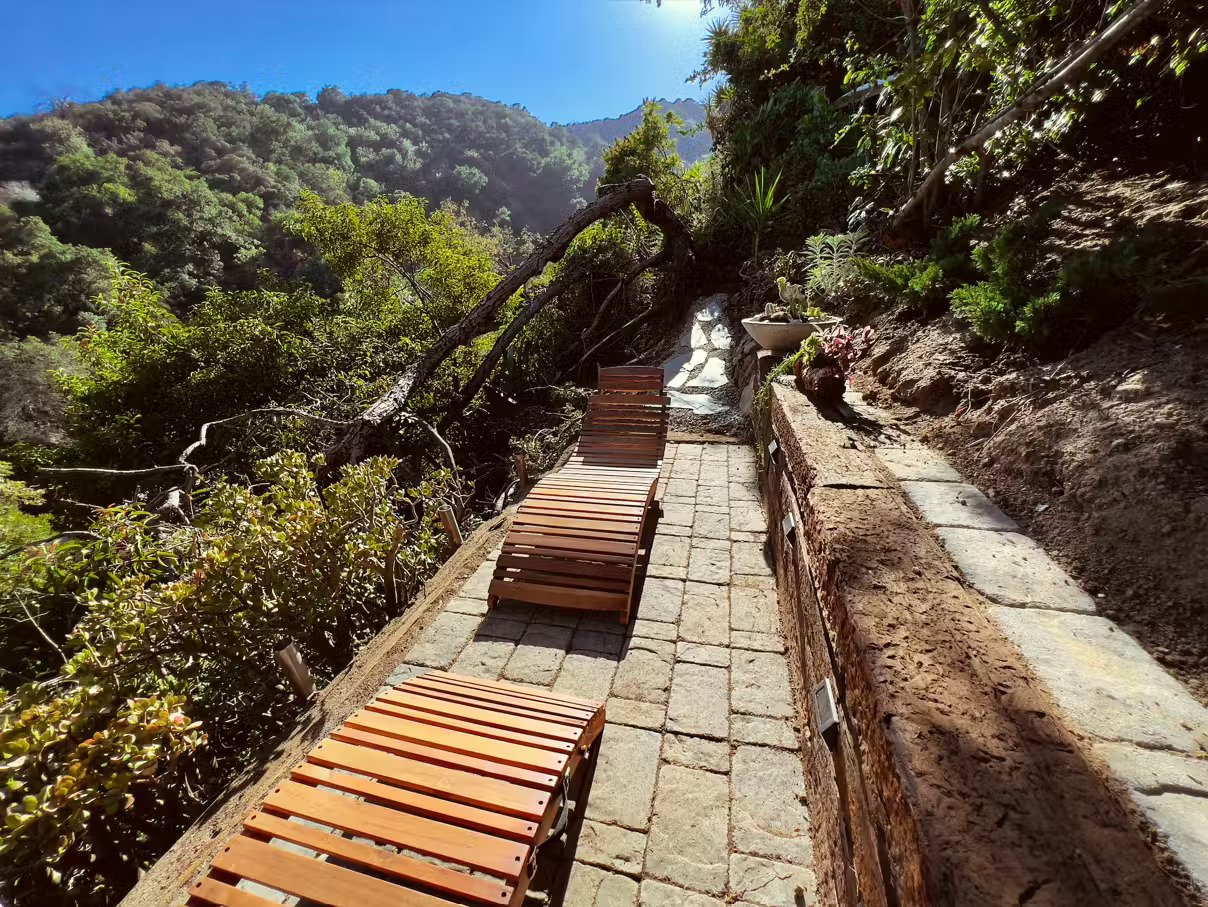 Midcentury Haven for Creatives