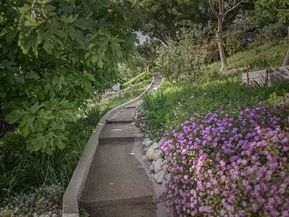 1704561692882-44 The Zumirez Three