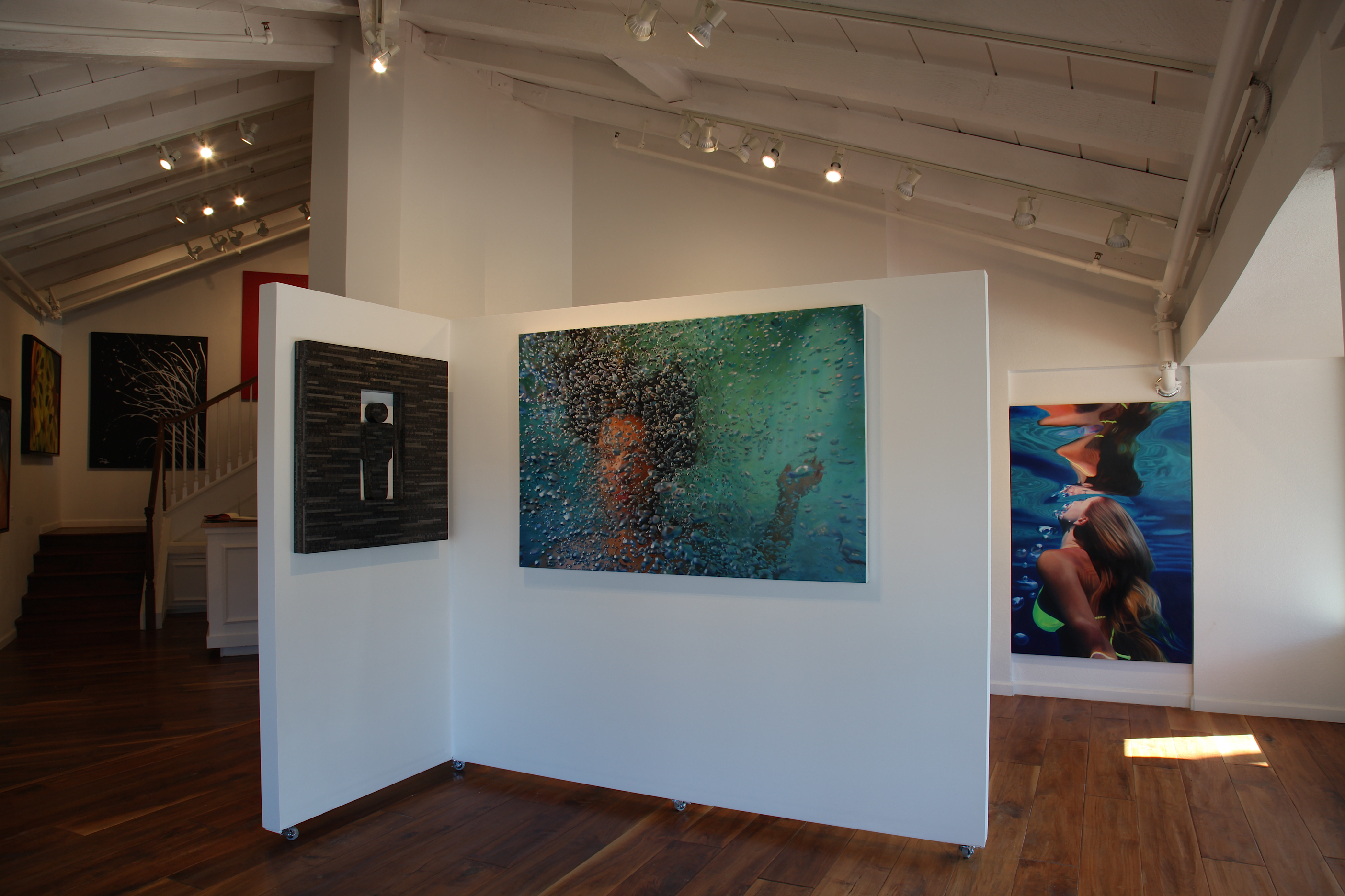 NoushinPhotography The La Jolla Gallery