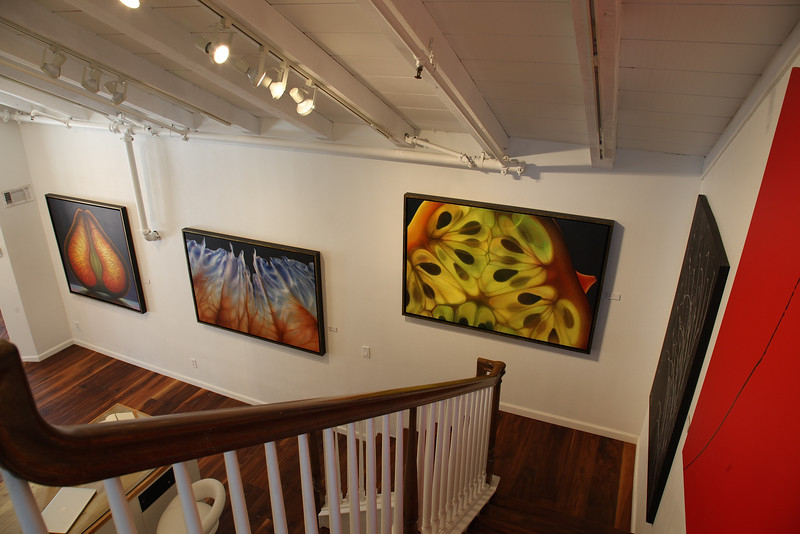NoushinPhotography The La Jolla Gallery