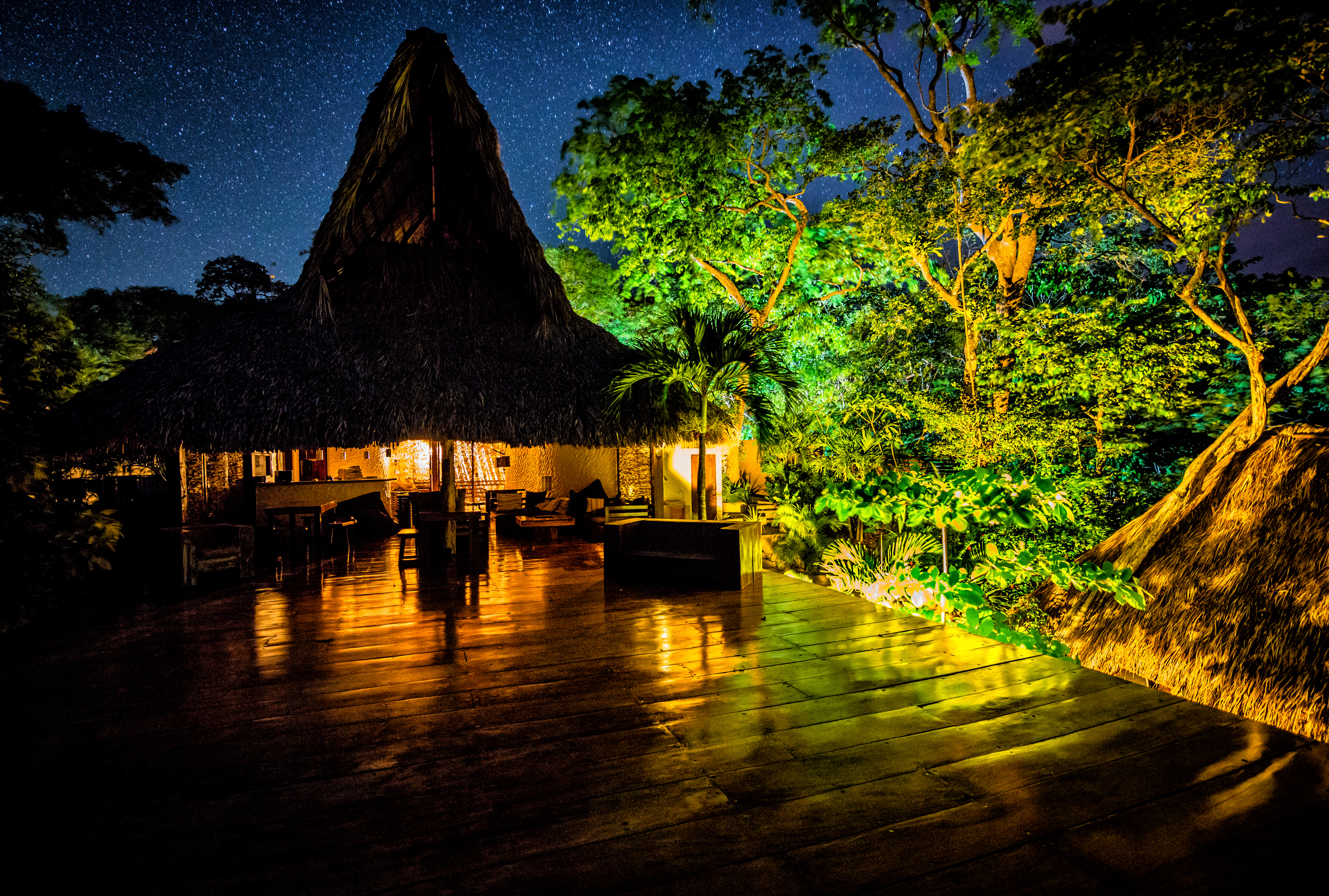 BVSC Stars at night Buena Vista Surf Club