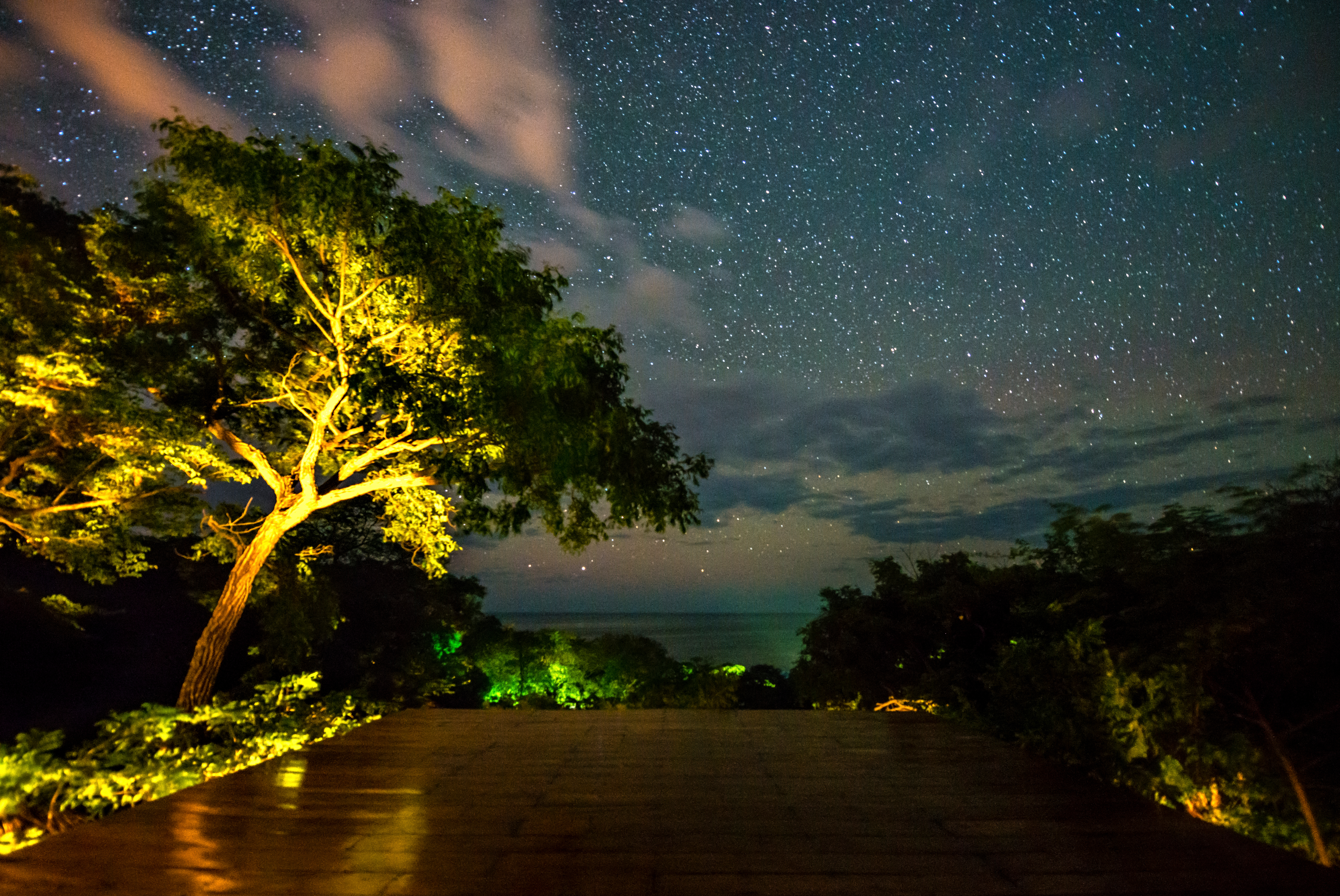 Stars above the deck Buena Vista Surf Club