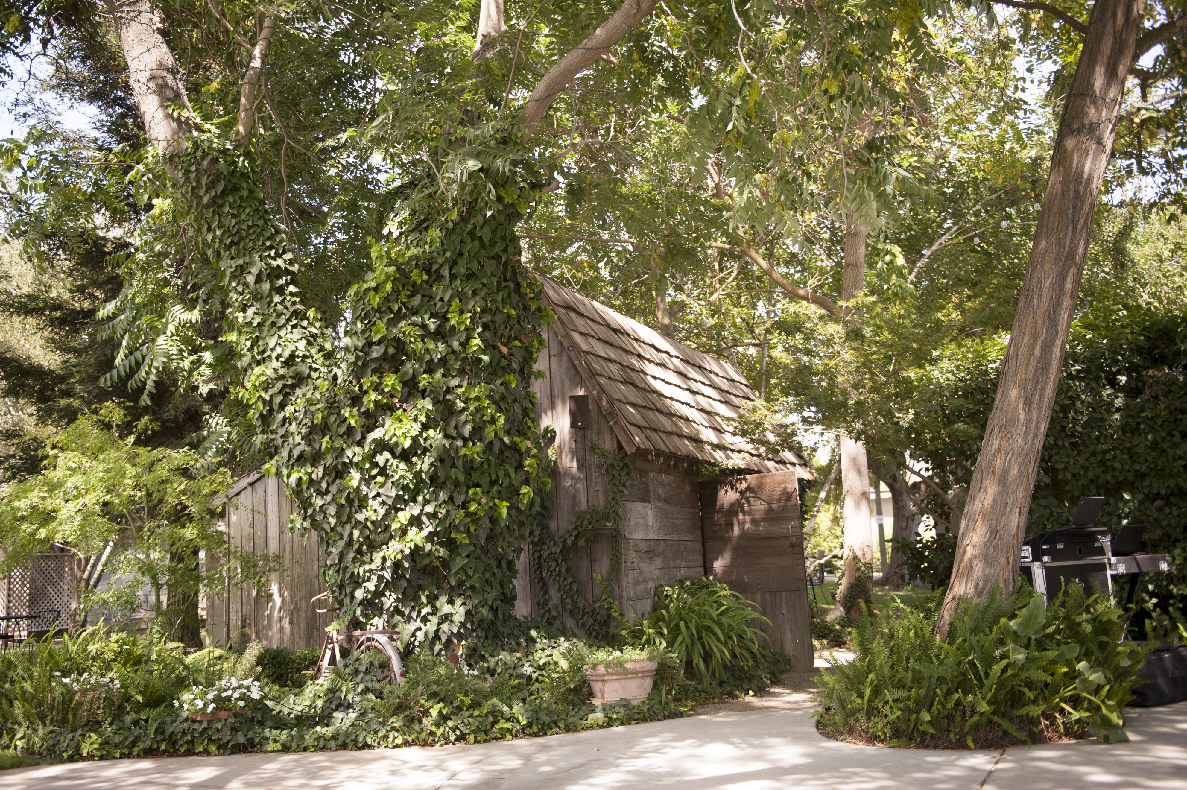 DSC_7431Jojart-Doug Pageo Lavender Farm