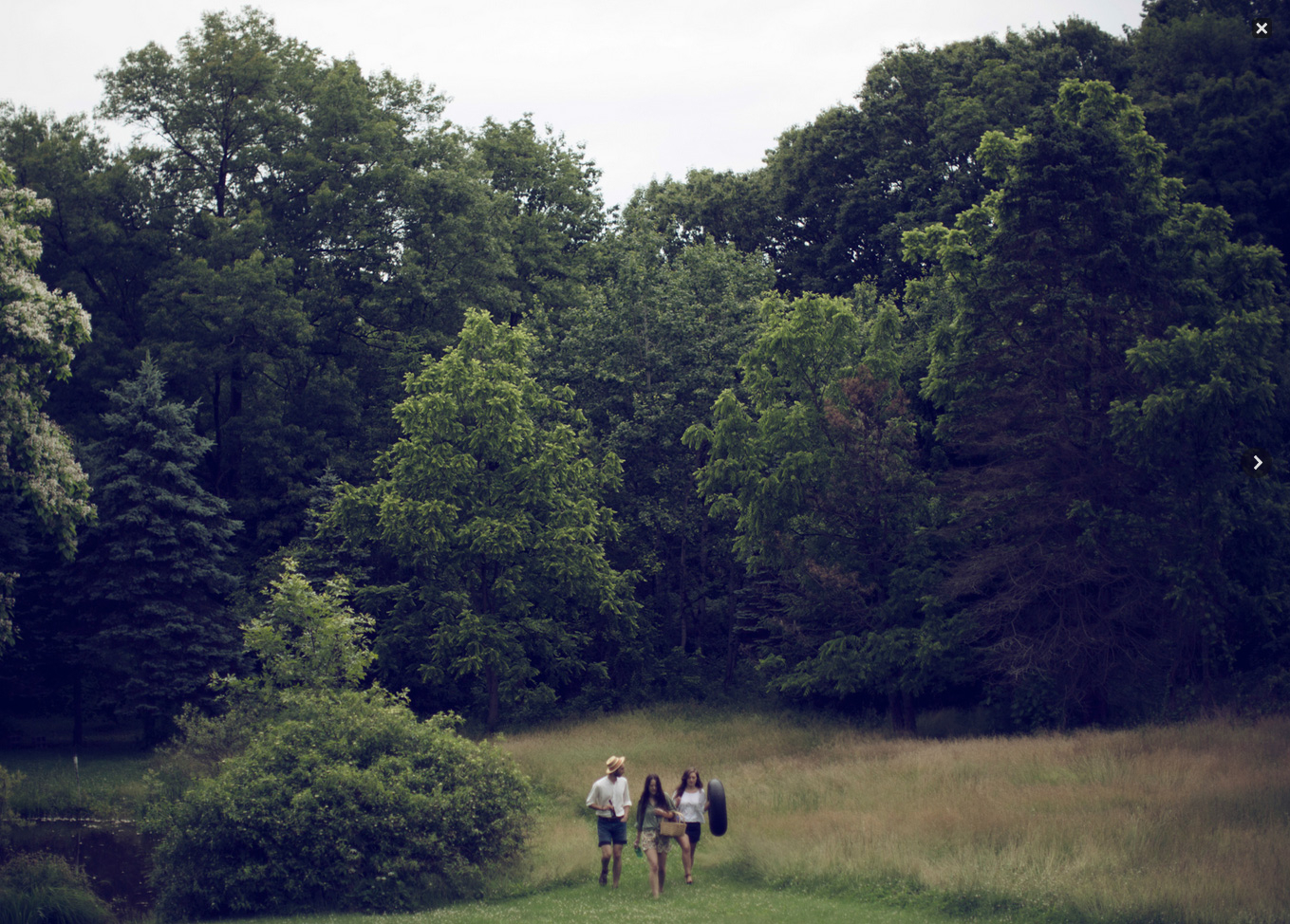 15-Wide-trees The Barn in Tivoli