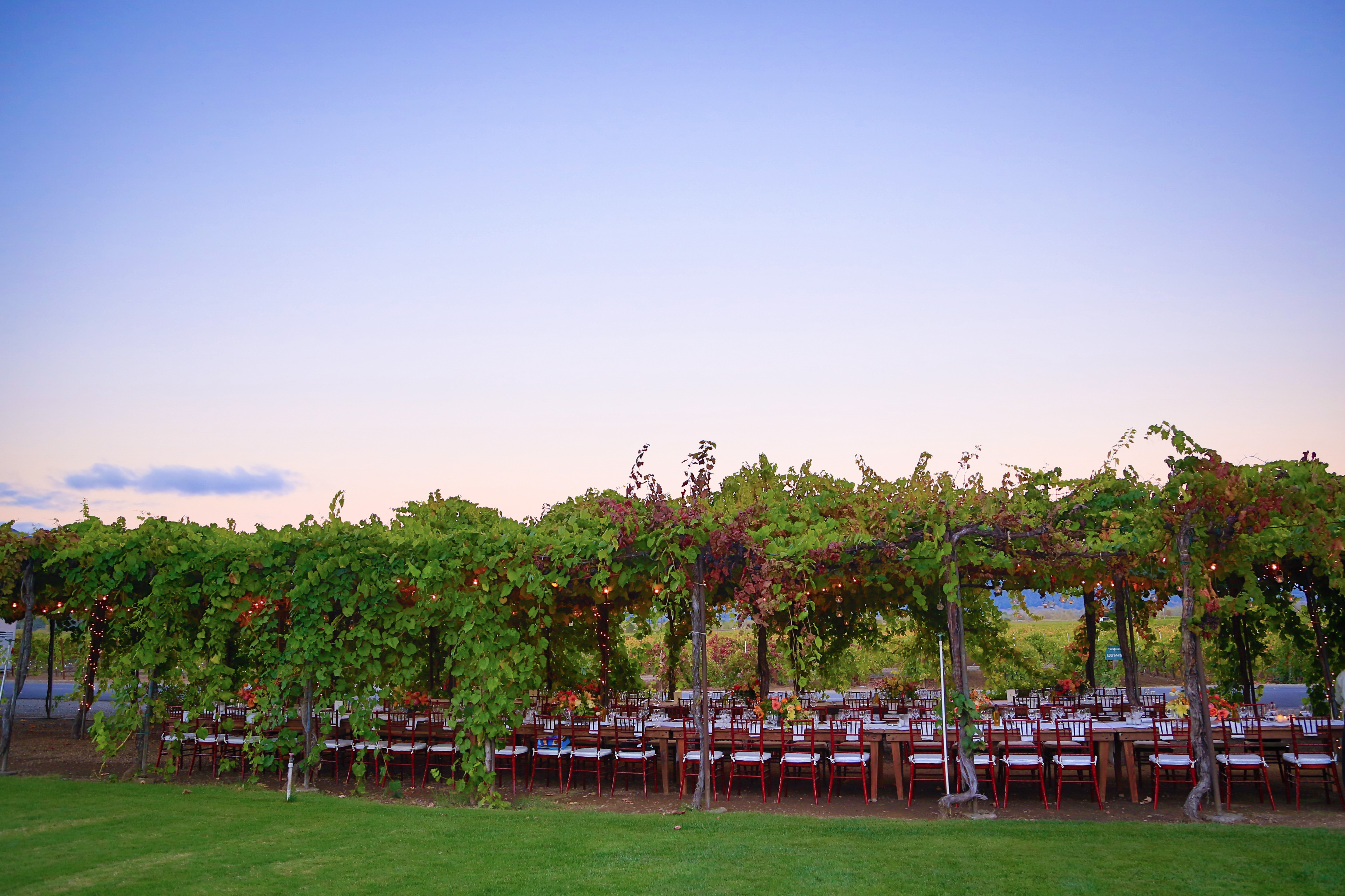 0487__IMH9468 Trentadue Winery