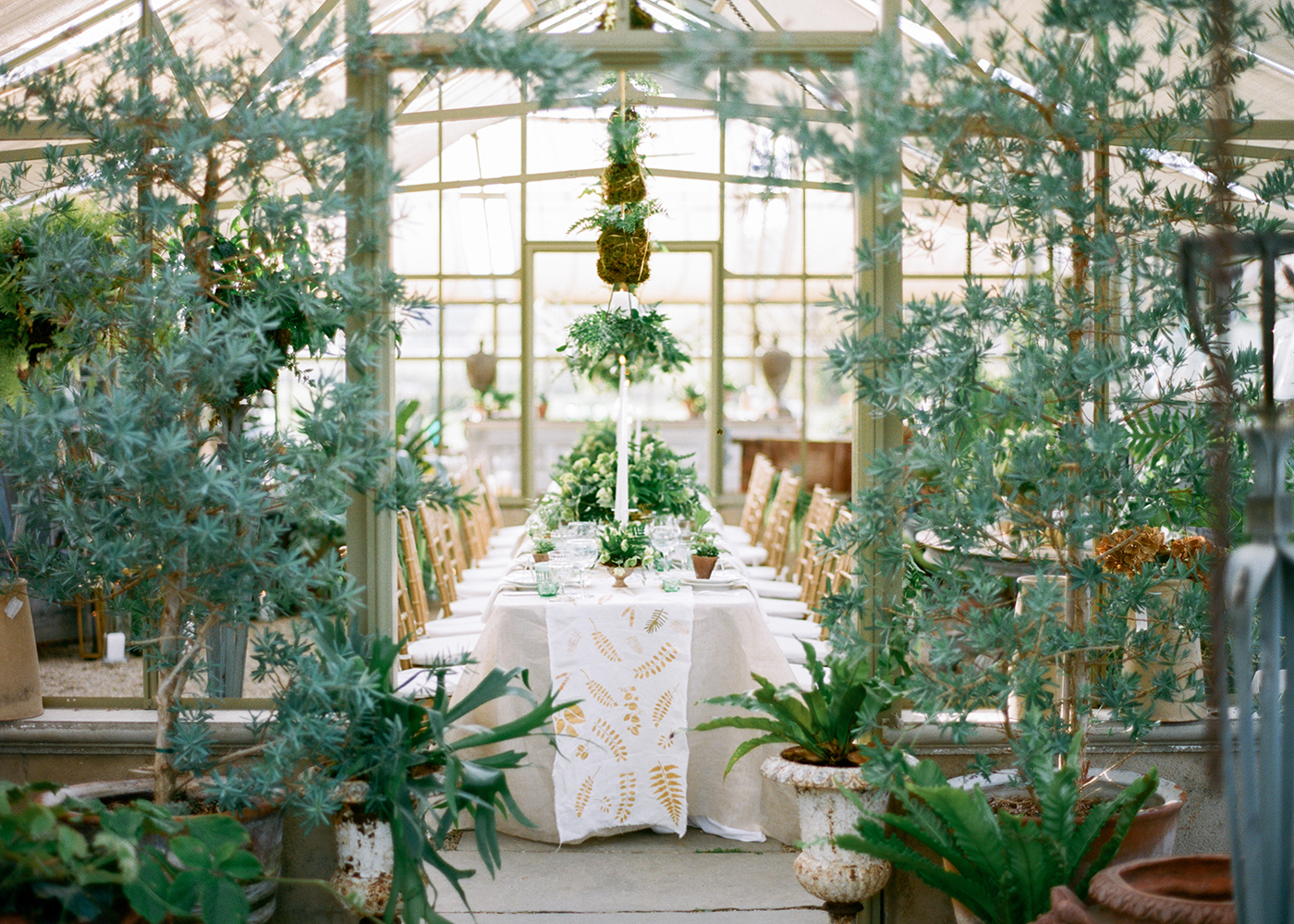 AriellaChezarWorkshop0768 Jardin de Buis