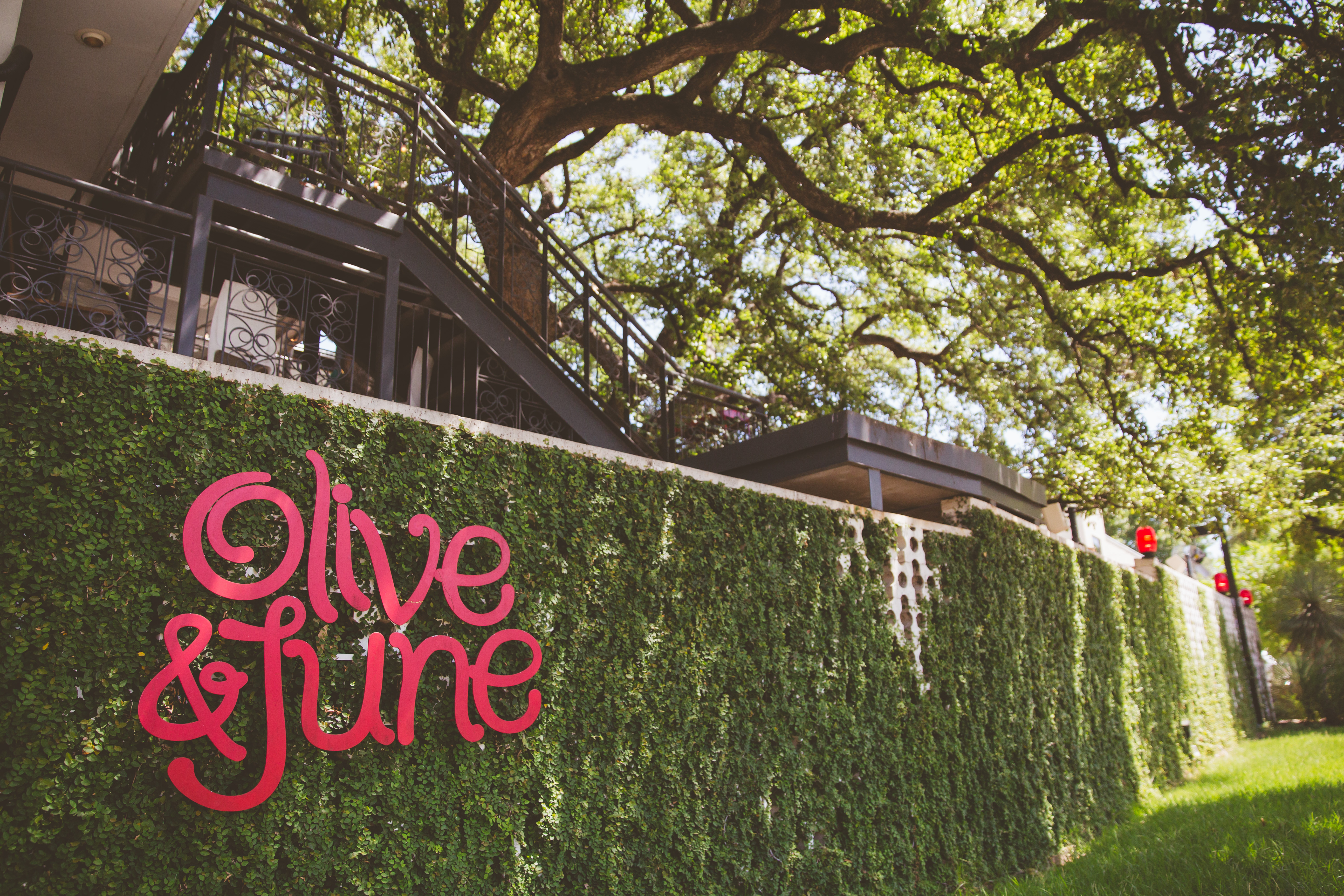 Olive and June Wedding-0019 Olive & June