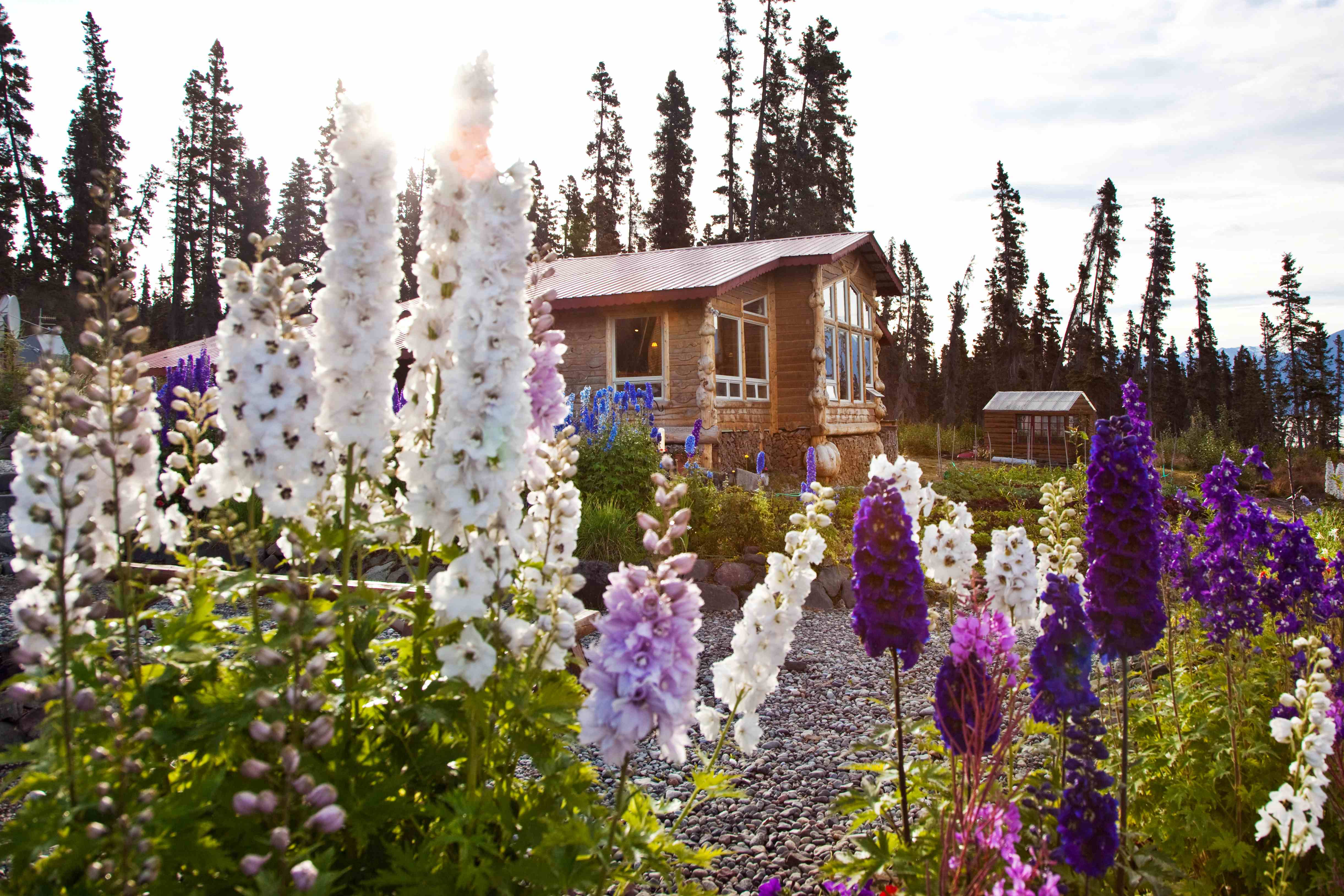 Bend-02091 Alaska's Ultima Thule Lodge