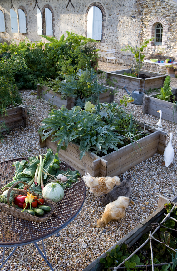 potager by José barreto Domaine des Evis