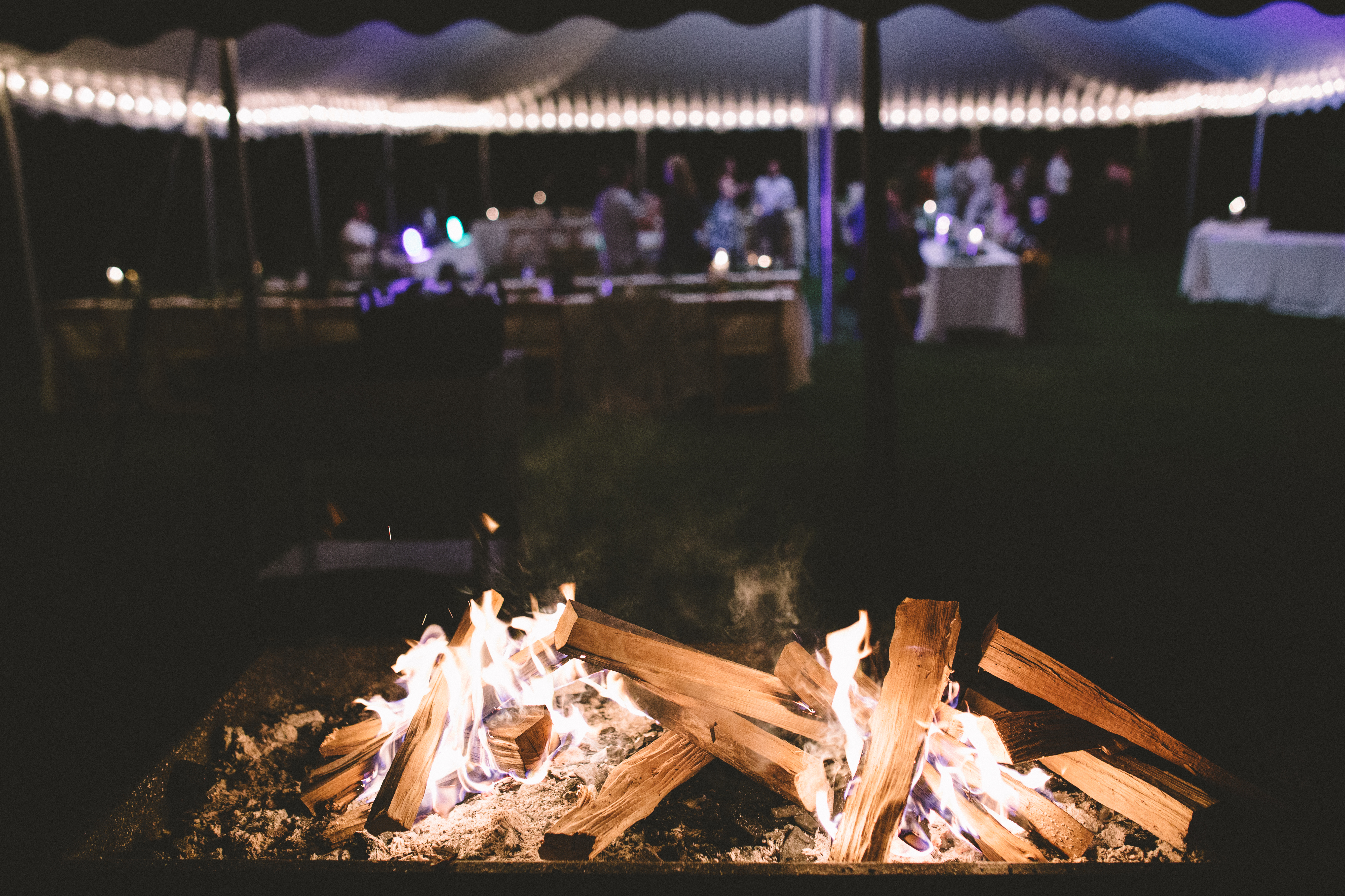 Megan-Erik-Upstate-Catskills-Wedding-Lisa-Denardo-Couple-of-Dudes-1747 The North Branch Inn