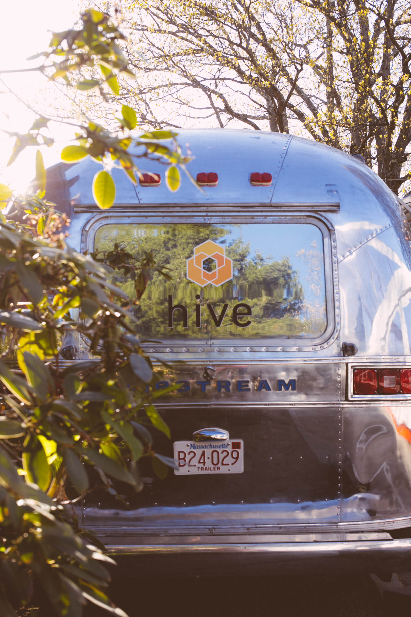 Hive @ Decordova Hive