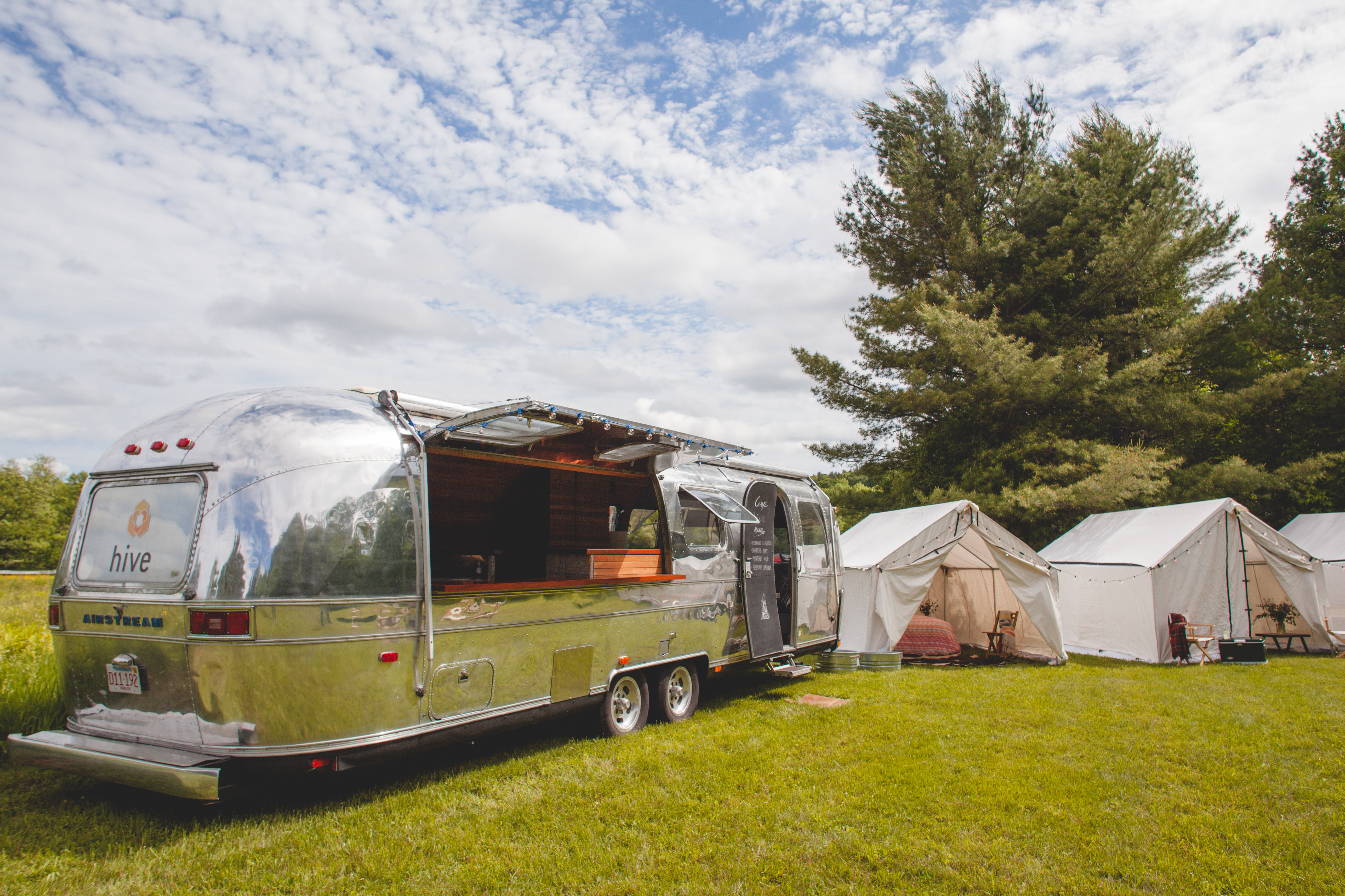 Hive _ Jennifer Bakos Photography Hive