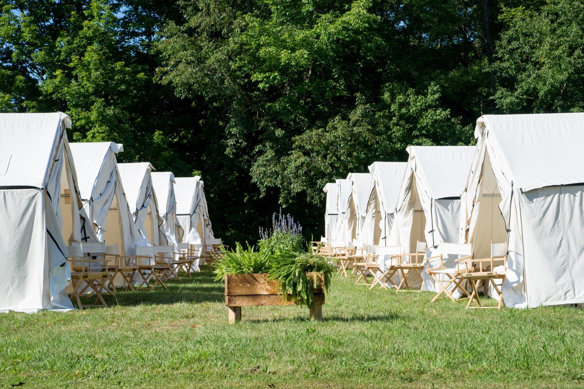 Hive _ Photo_ Amanda Photographic Hive