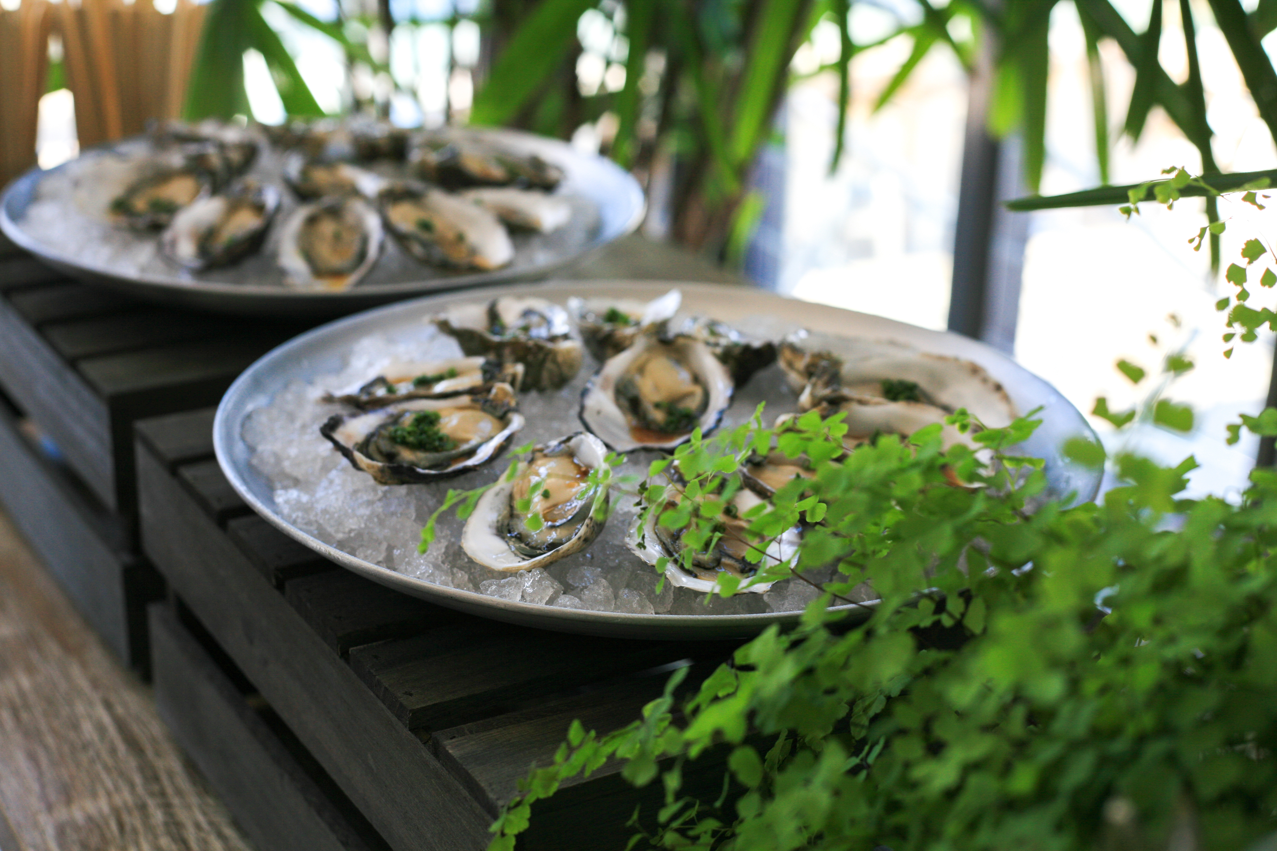 SUPPLIERS_LUNCH-24 Beachside Dojo