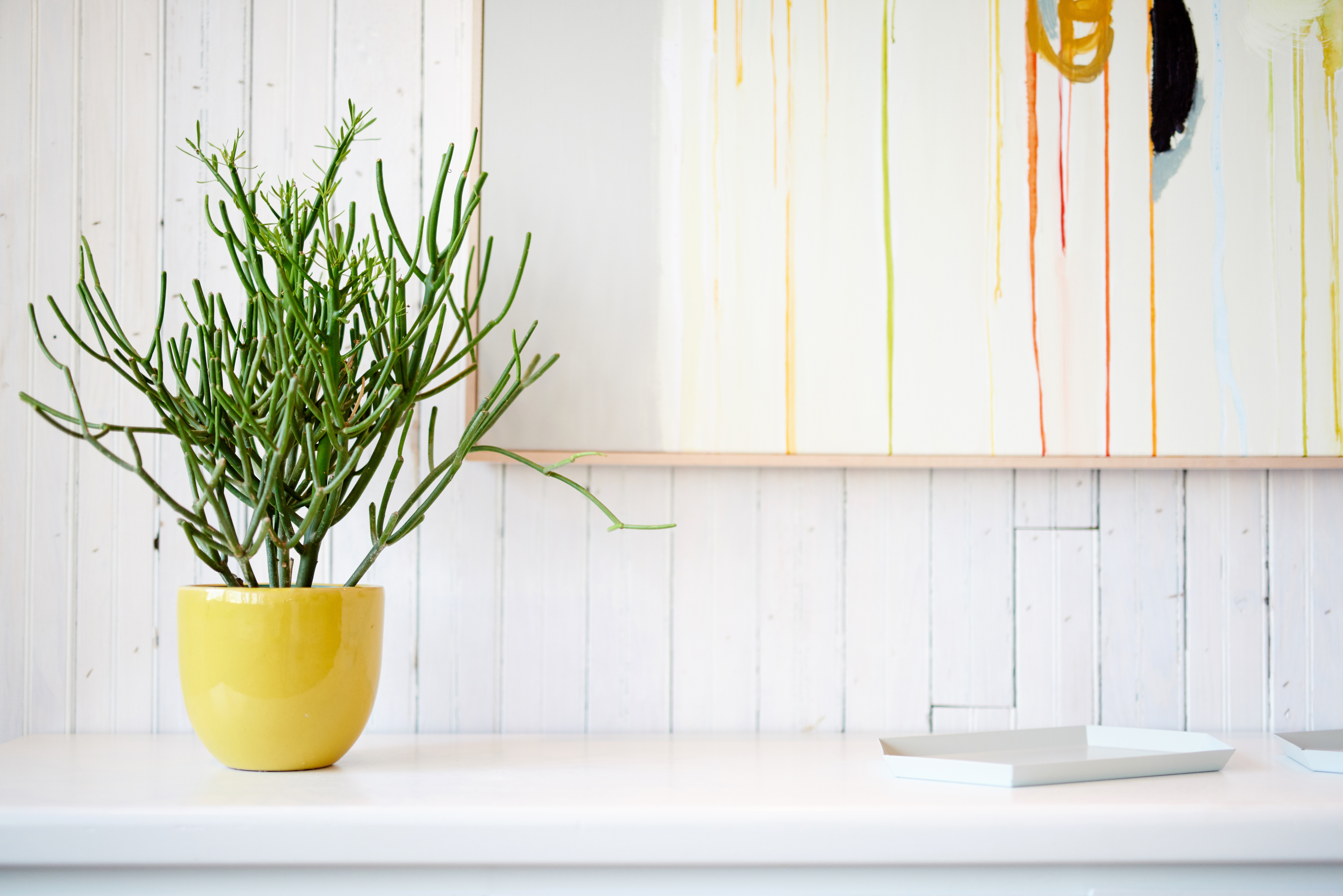 DSC_5002 Café No Sé