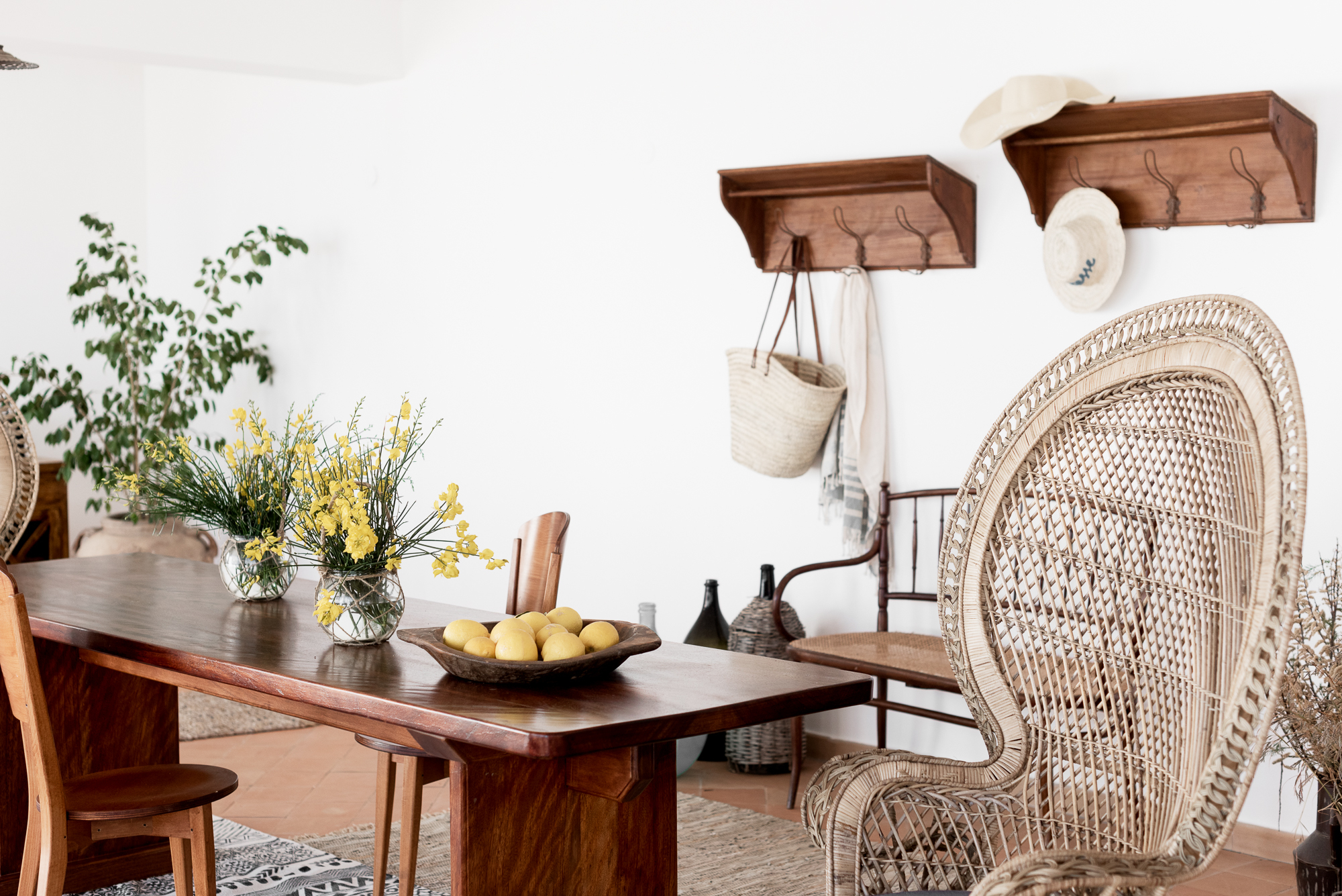 DSC_0112 (1) Principe di Salina