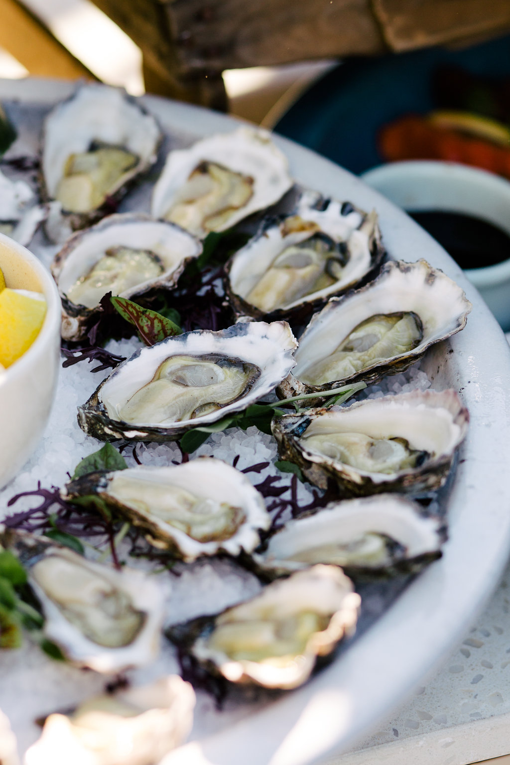 IMG_1502 (1) The Boathouse Palm Beach