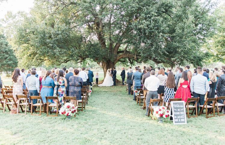 14713758_1785752978332722_793999521895238028_n Briar Rose Hill