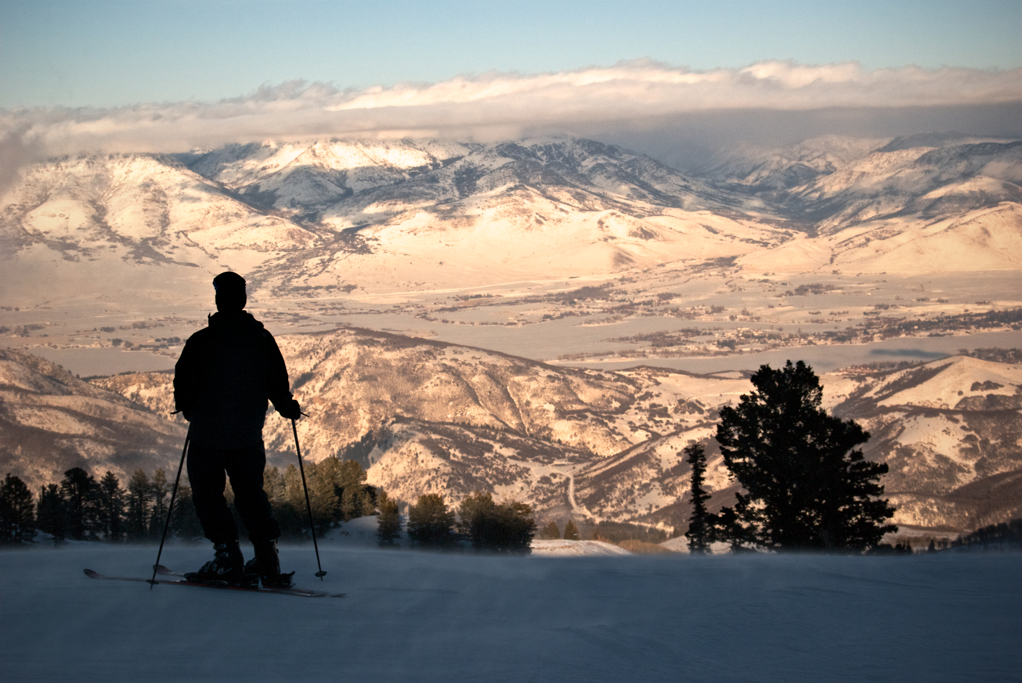 Utah Mountain Distillery - T