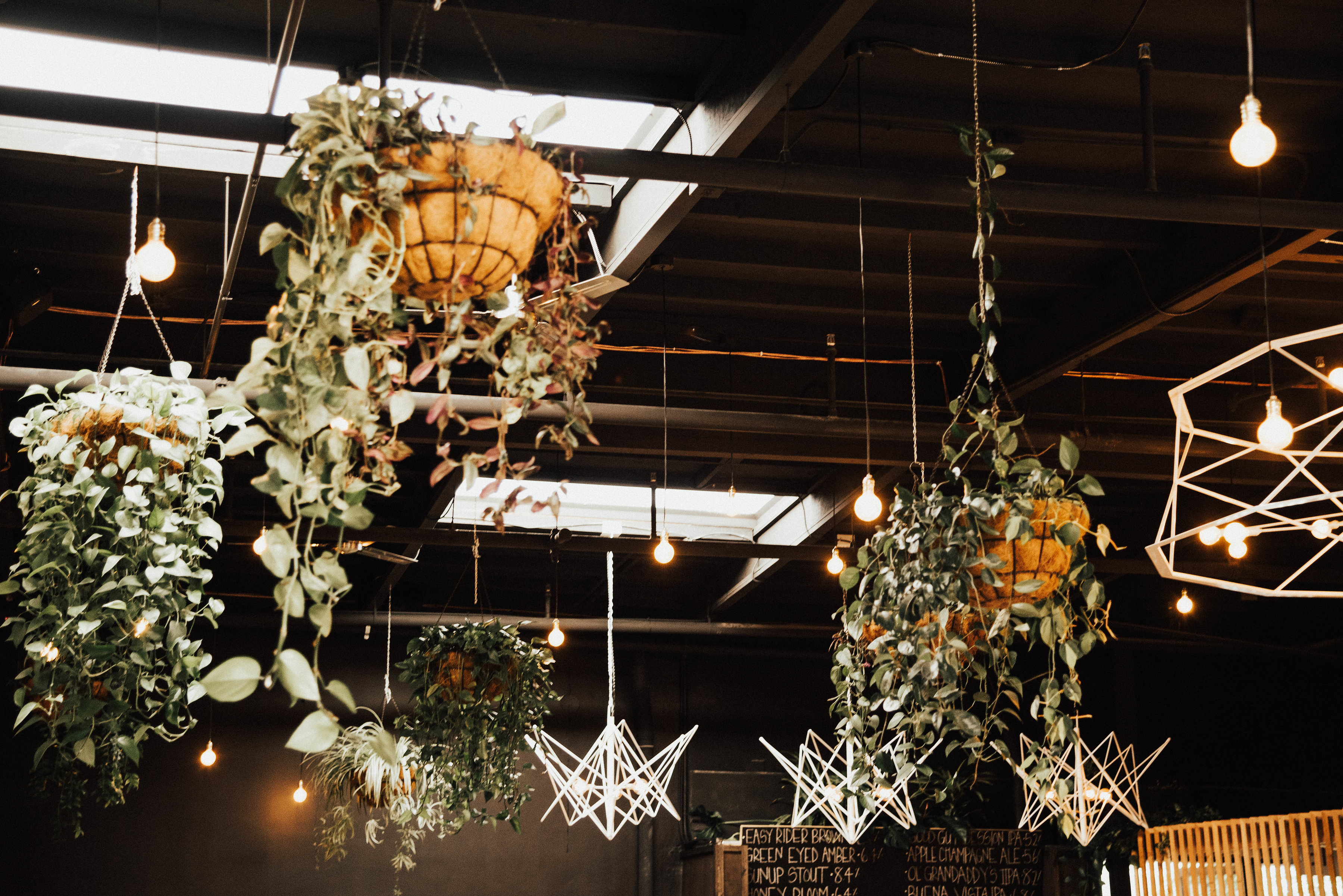 VTP_6414 The Wood Shed by Booze Brothers