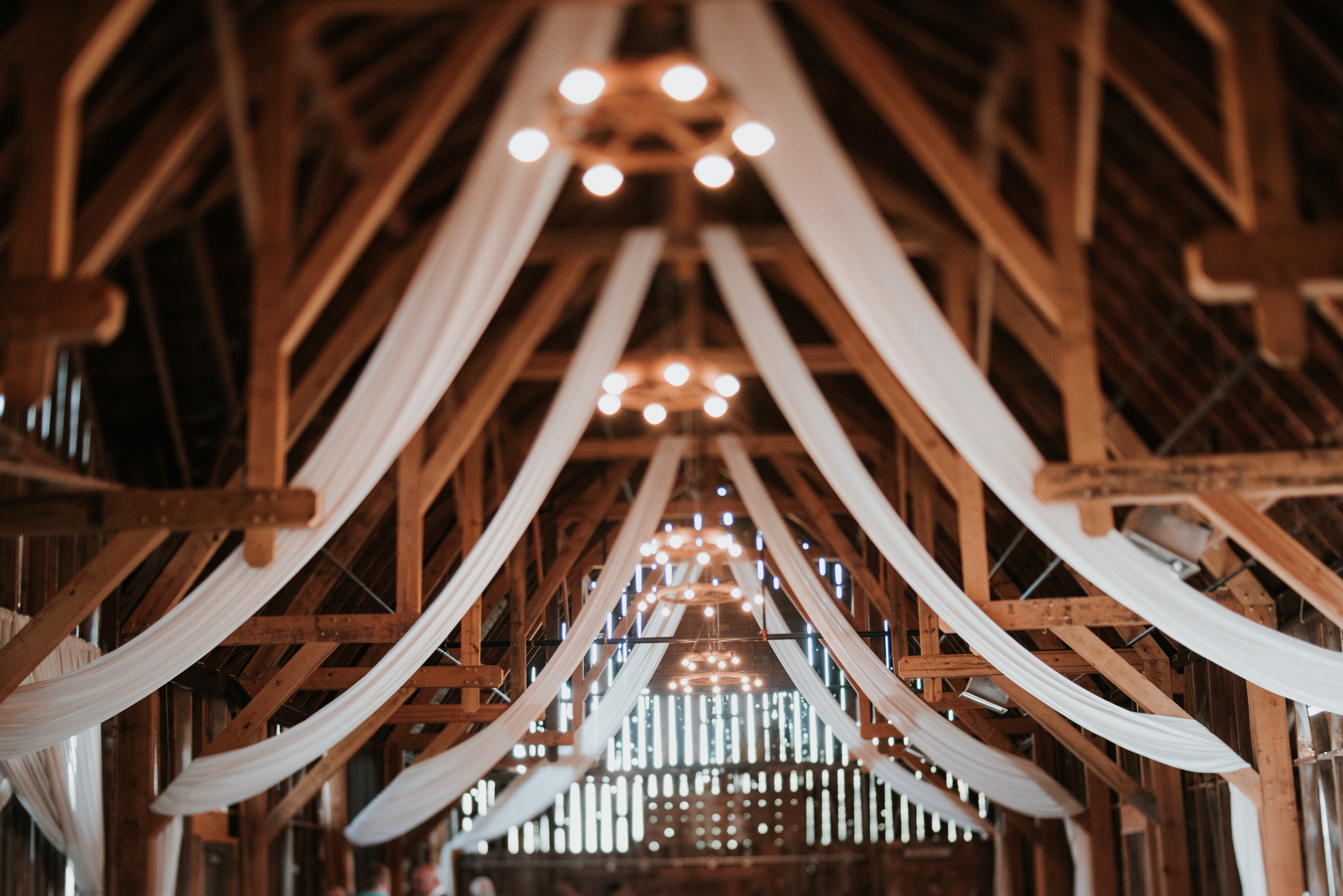 DSC_0992 Shanahan's Barn