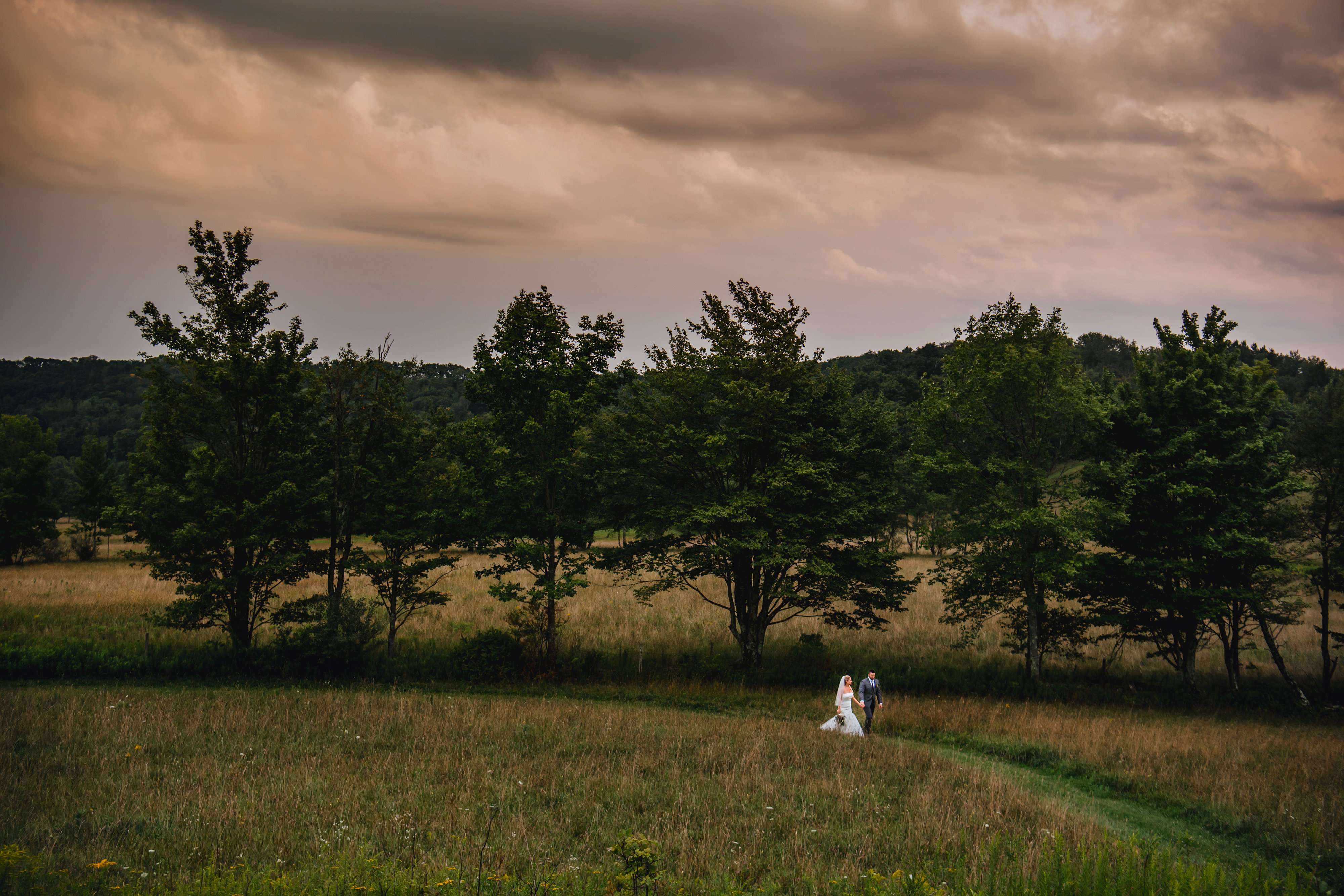 412 Longhill Farm Events