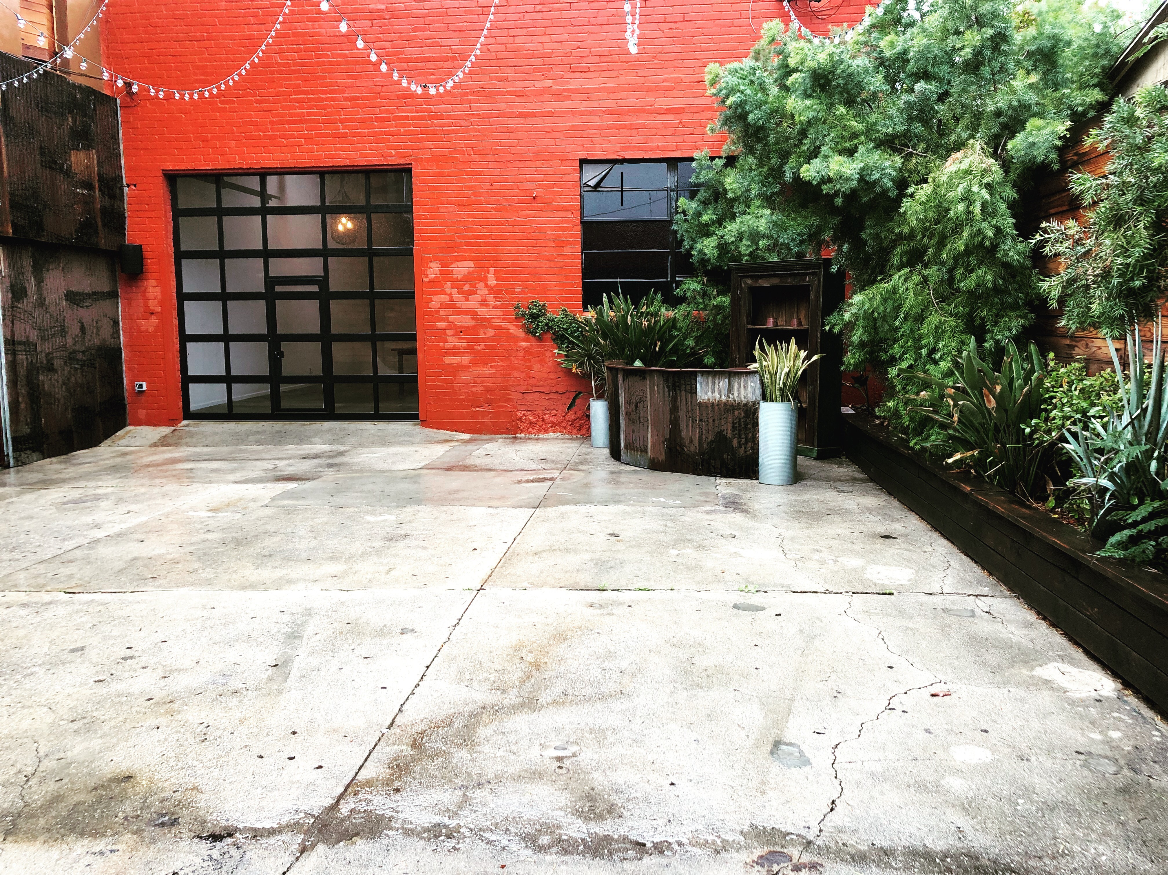 IMG_1557 The Holding Company