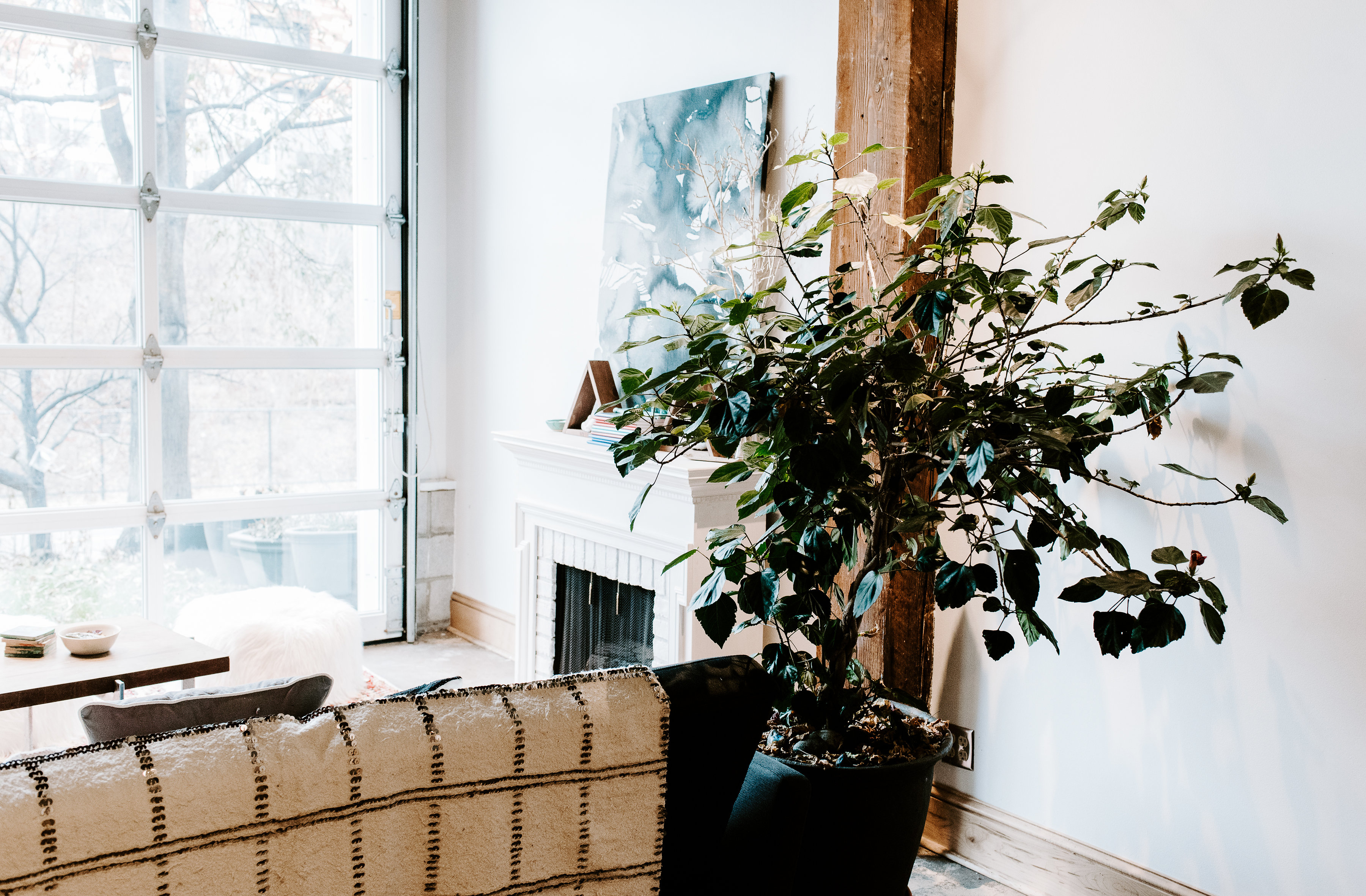 AnahataCollaborative-100 Anahata Studio