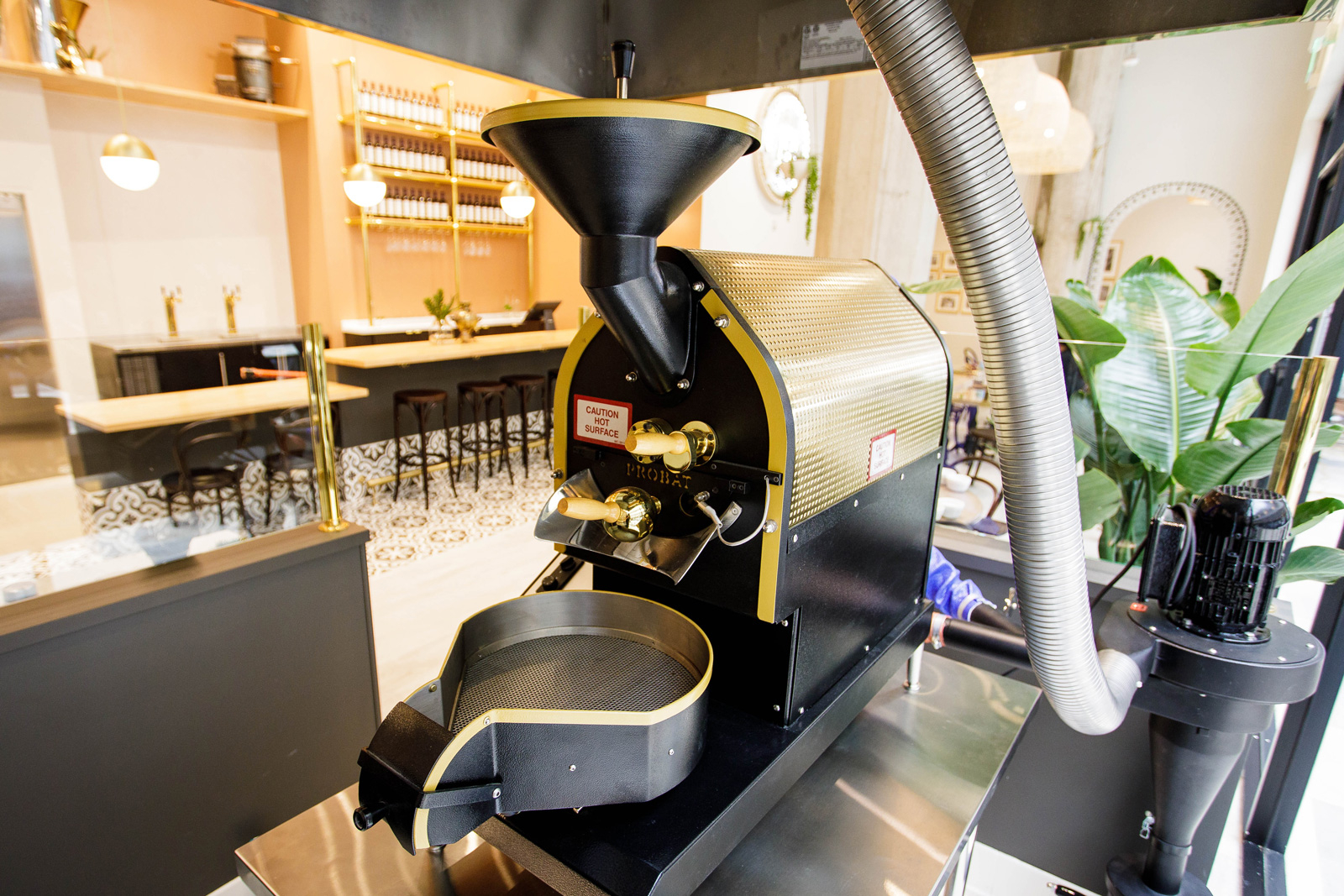 Don Francisco Coffee Casa Cubana