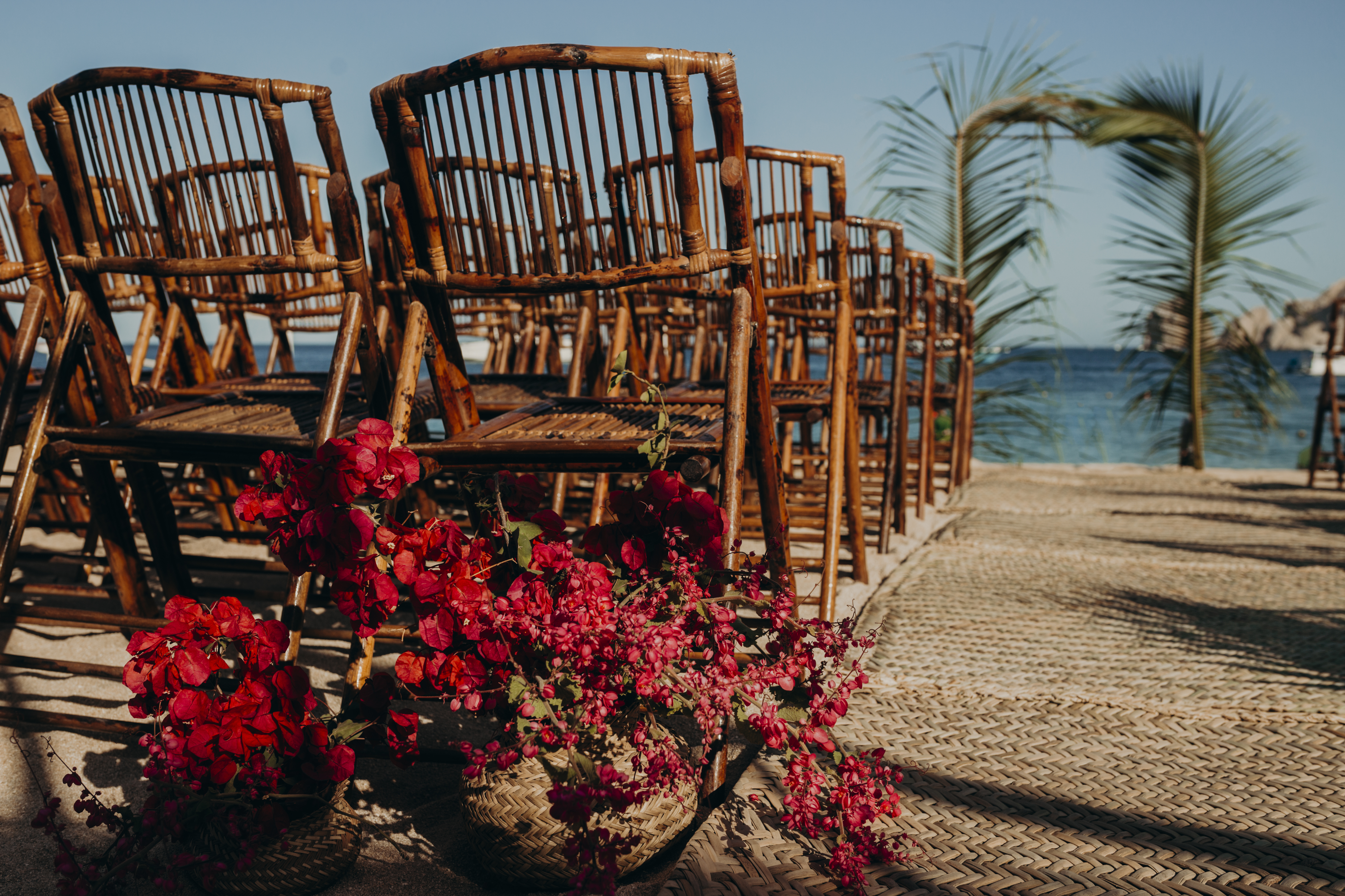 MCCLUREWILLweddingdayCABO2018-163 Sur Beach House Los Cabos