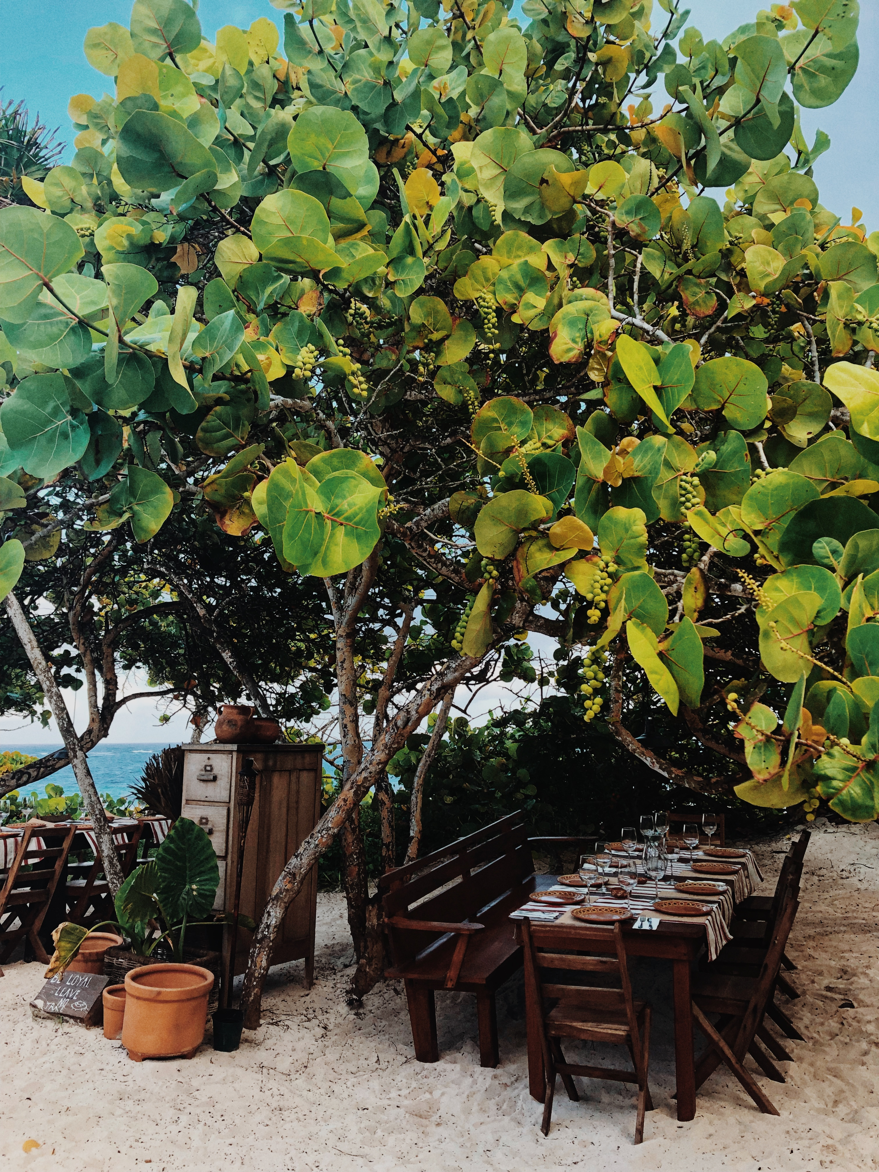 IMG_8028 LOYAL ORDER