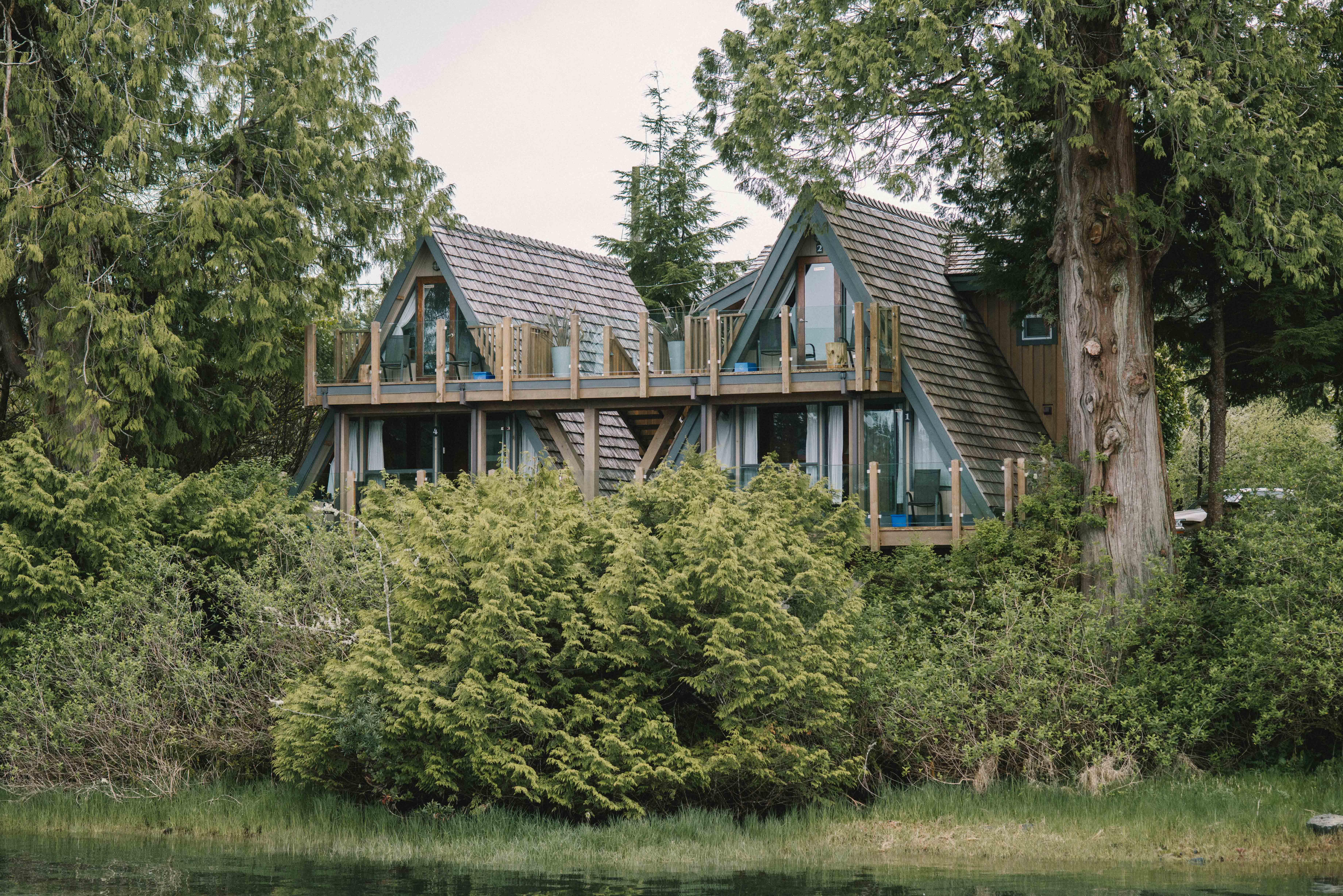 DSC_1853 The Shoreline Tofino