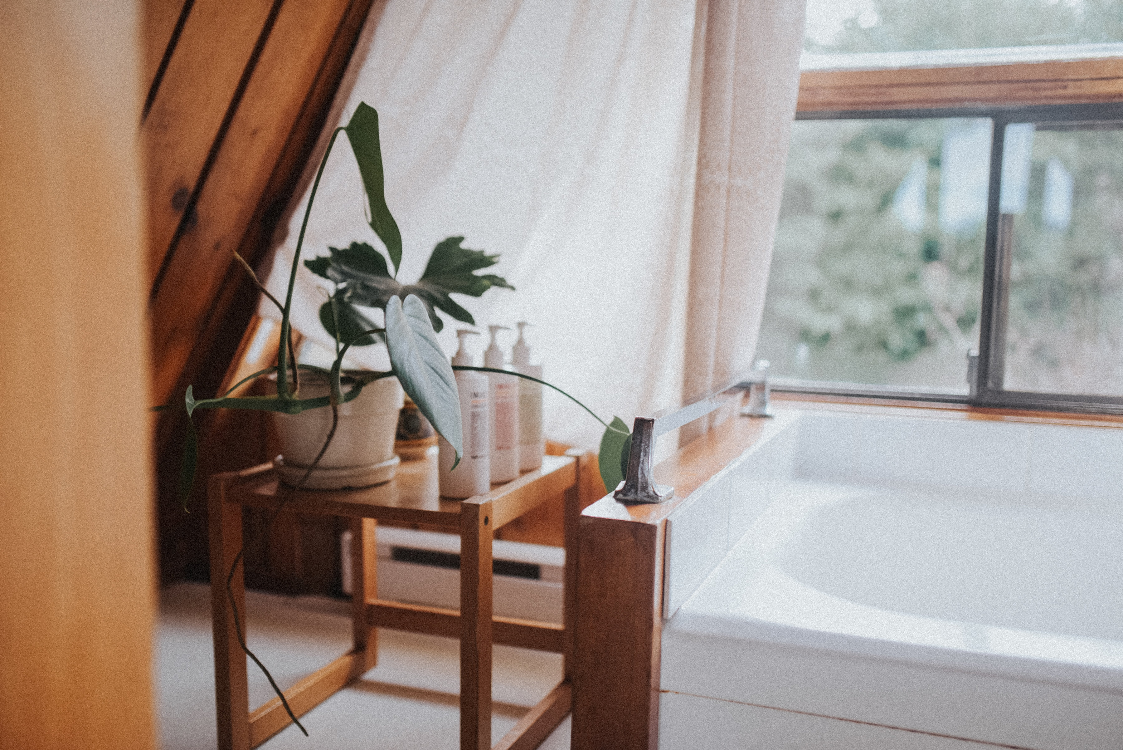 shoreline-23 The Shoreline Tofino