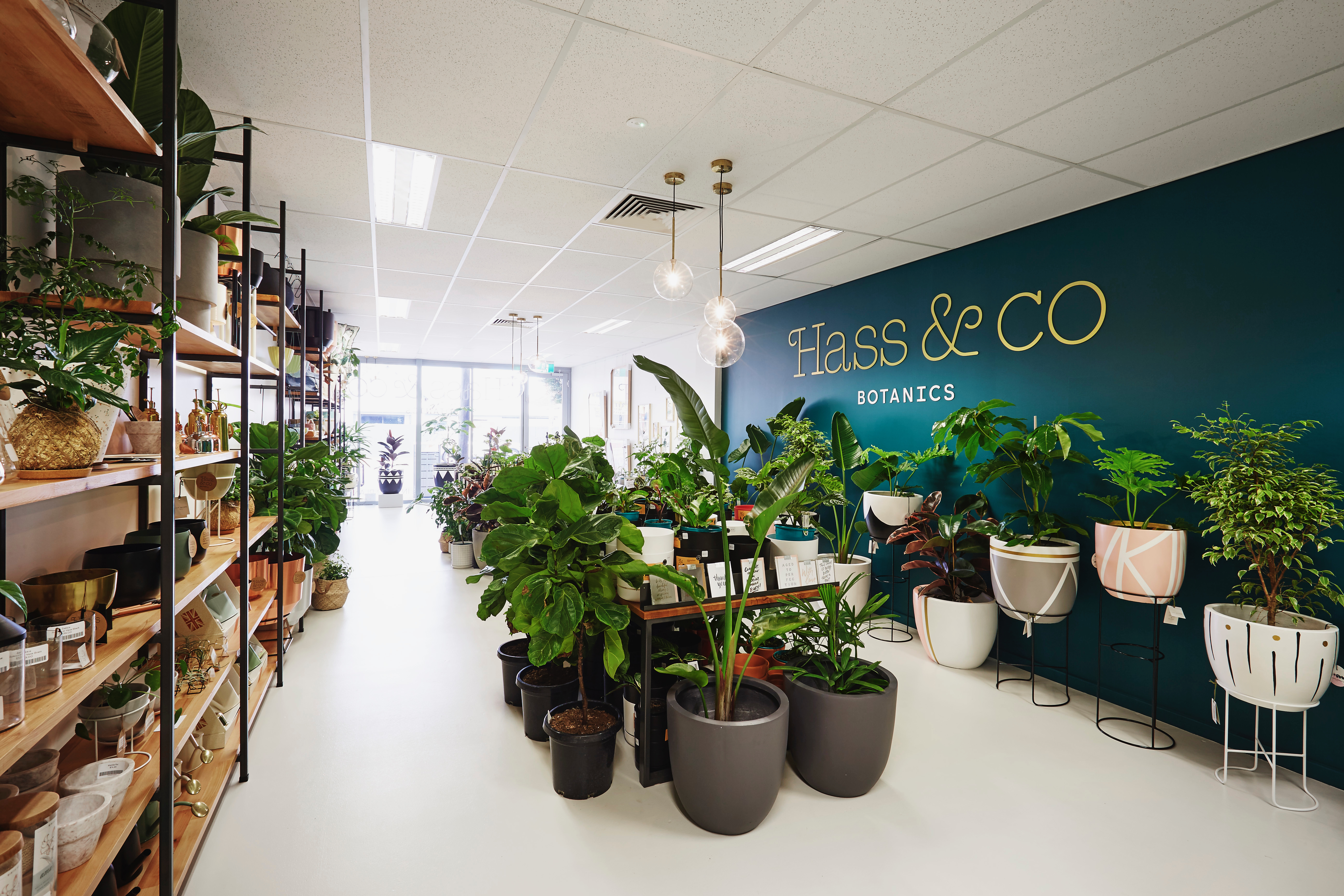 Hass & Co Botanics