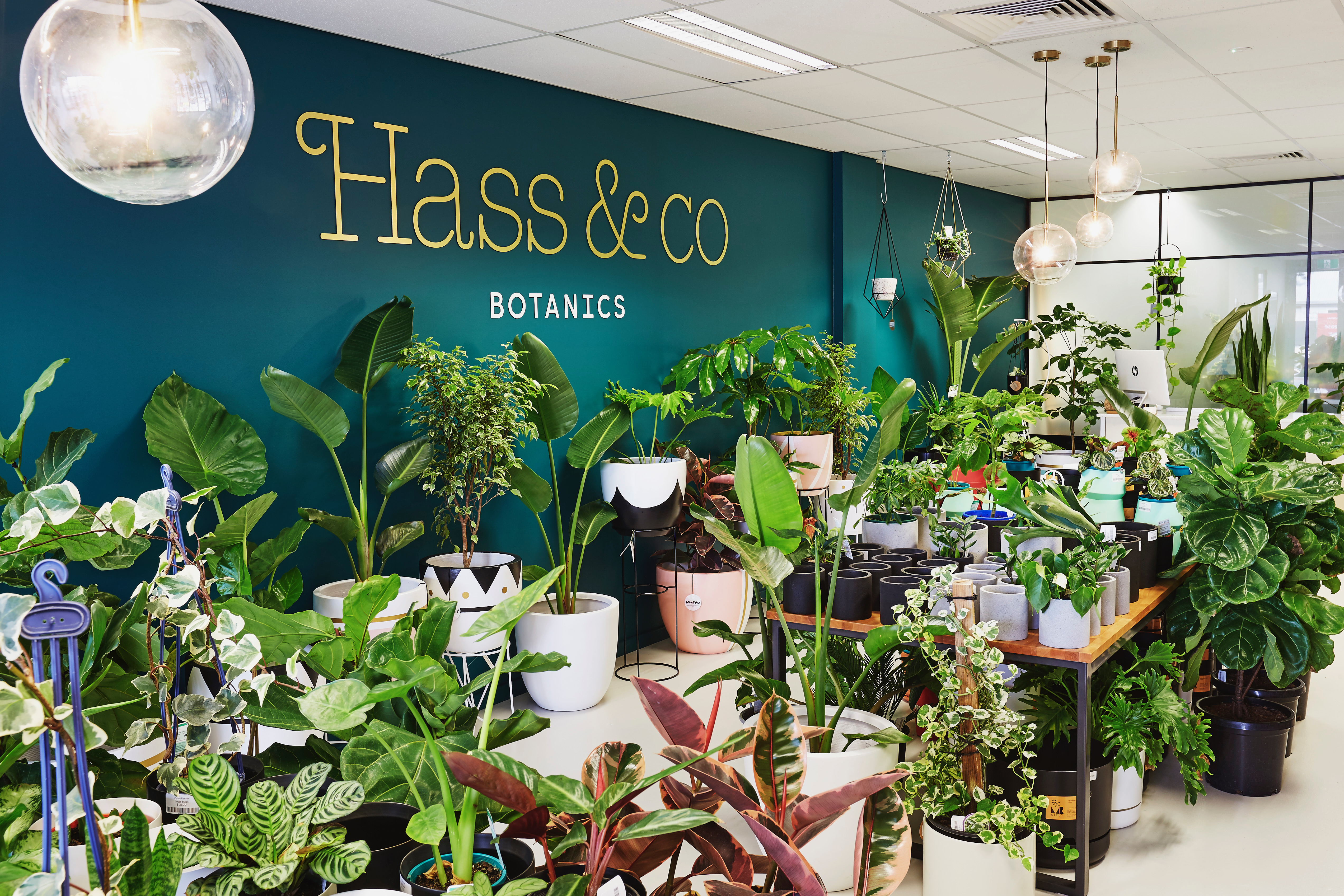 Hass & Co Botanics
