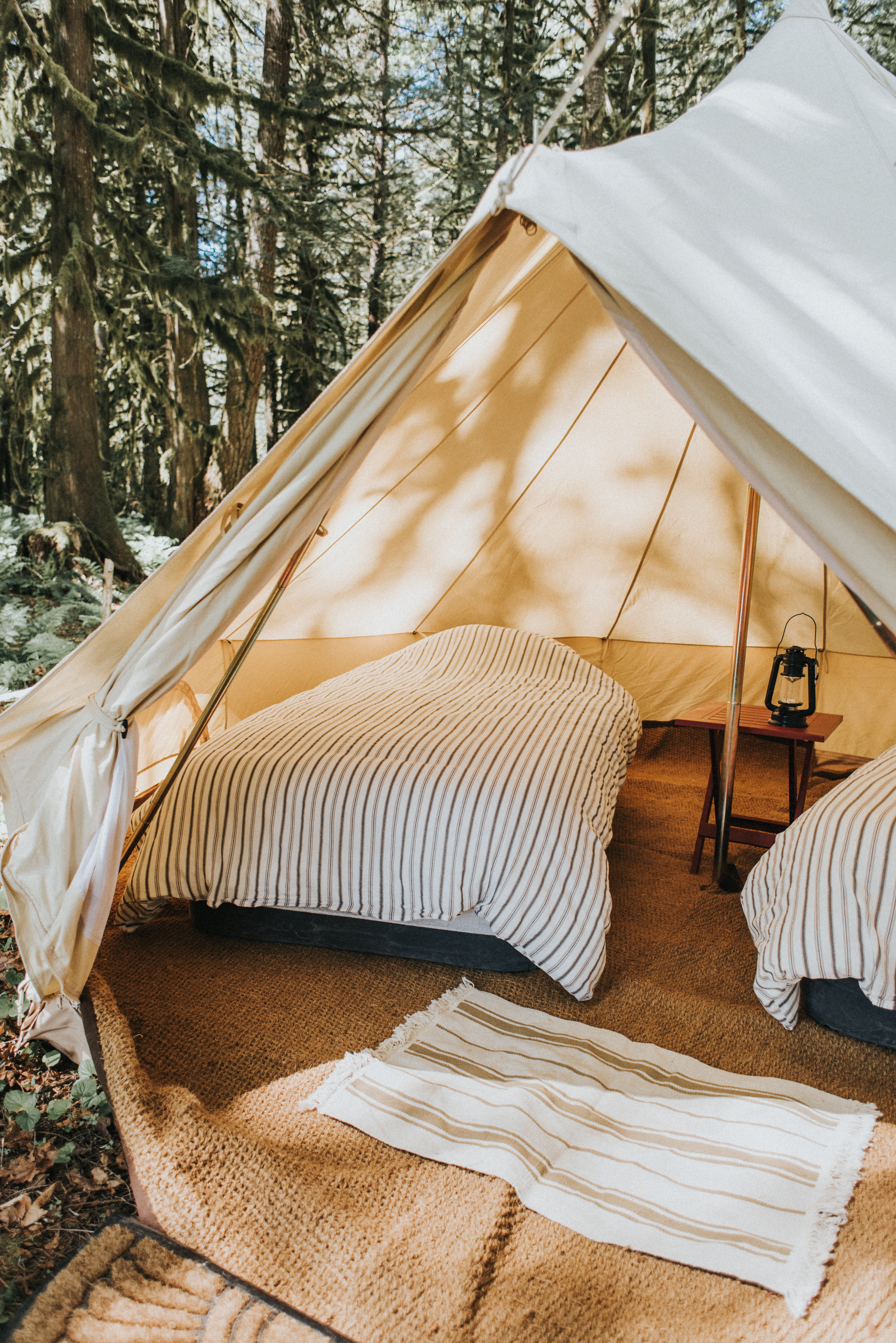 Wild Havens Luxury Camping