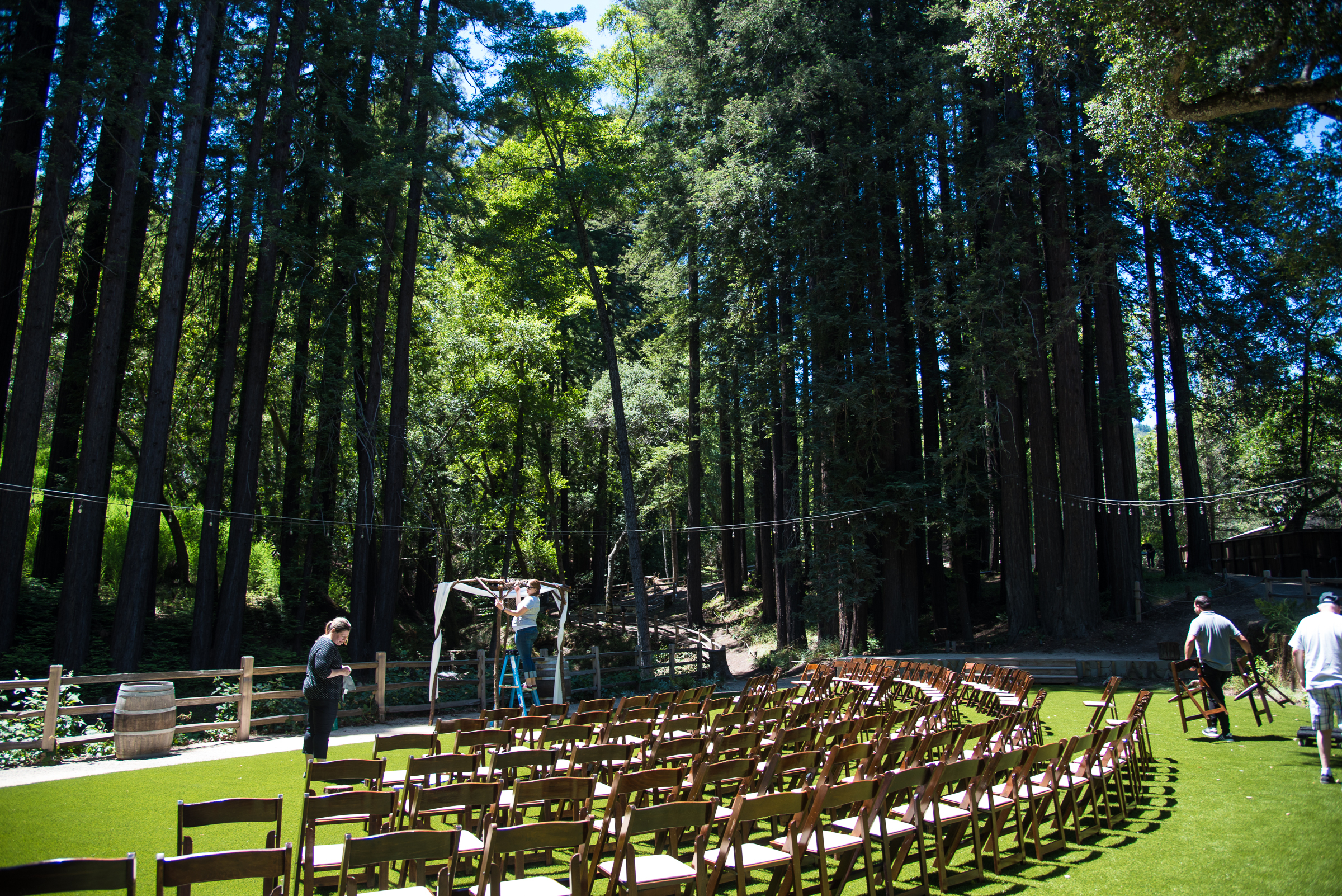 Redwood Retreat at Fernwood Cellars