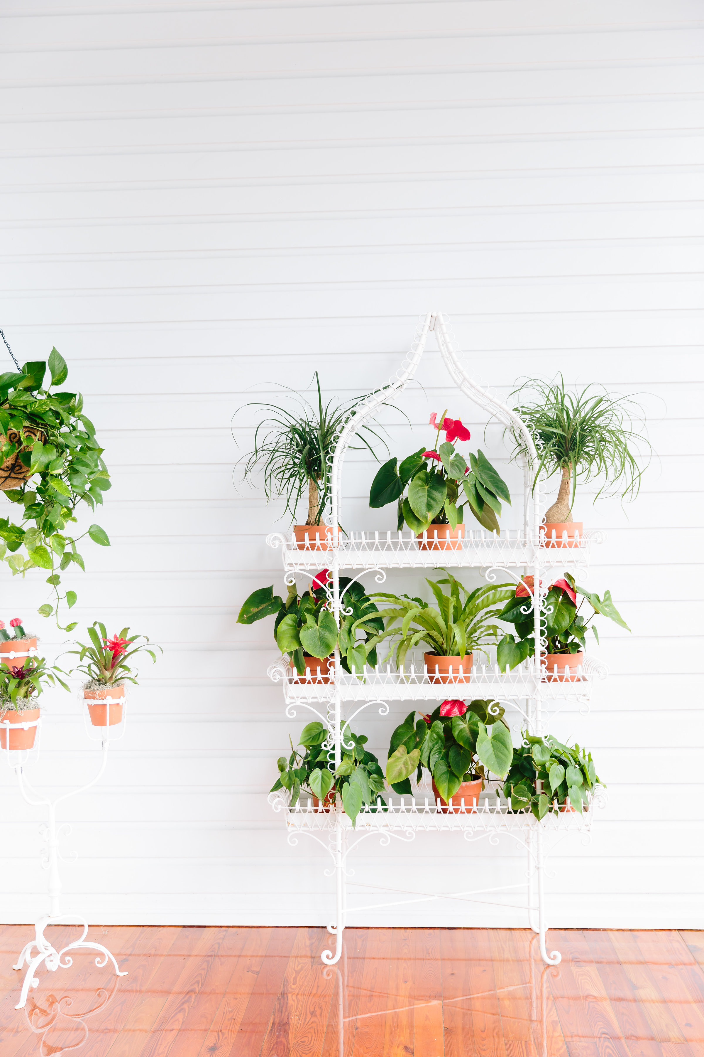 GGB4WeekendEdits-16 The Gasparilla Inn & Club