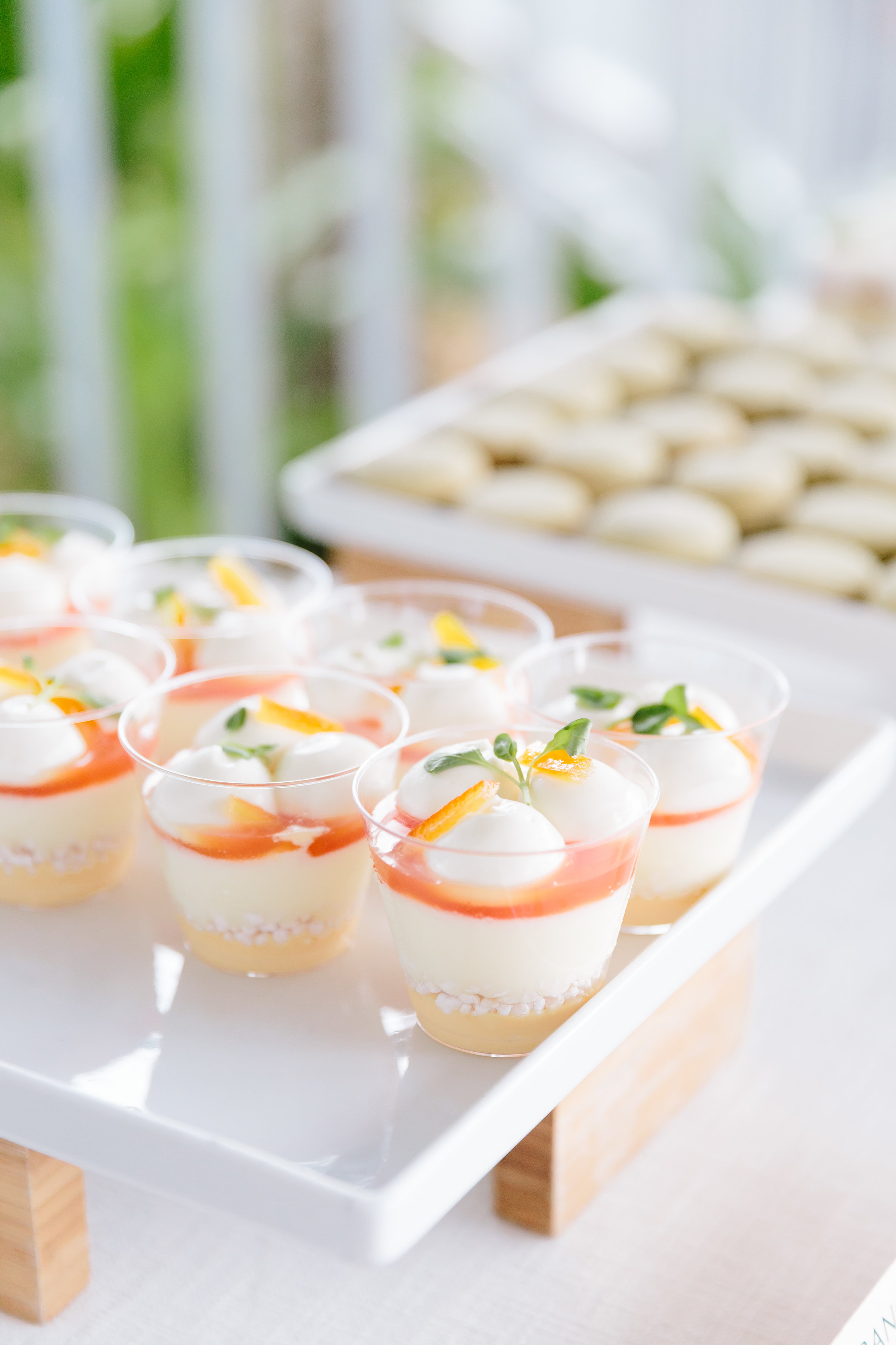 GGB4WeekendEdits-151 The Gasparilla Inn & Club