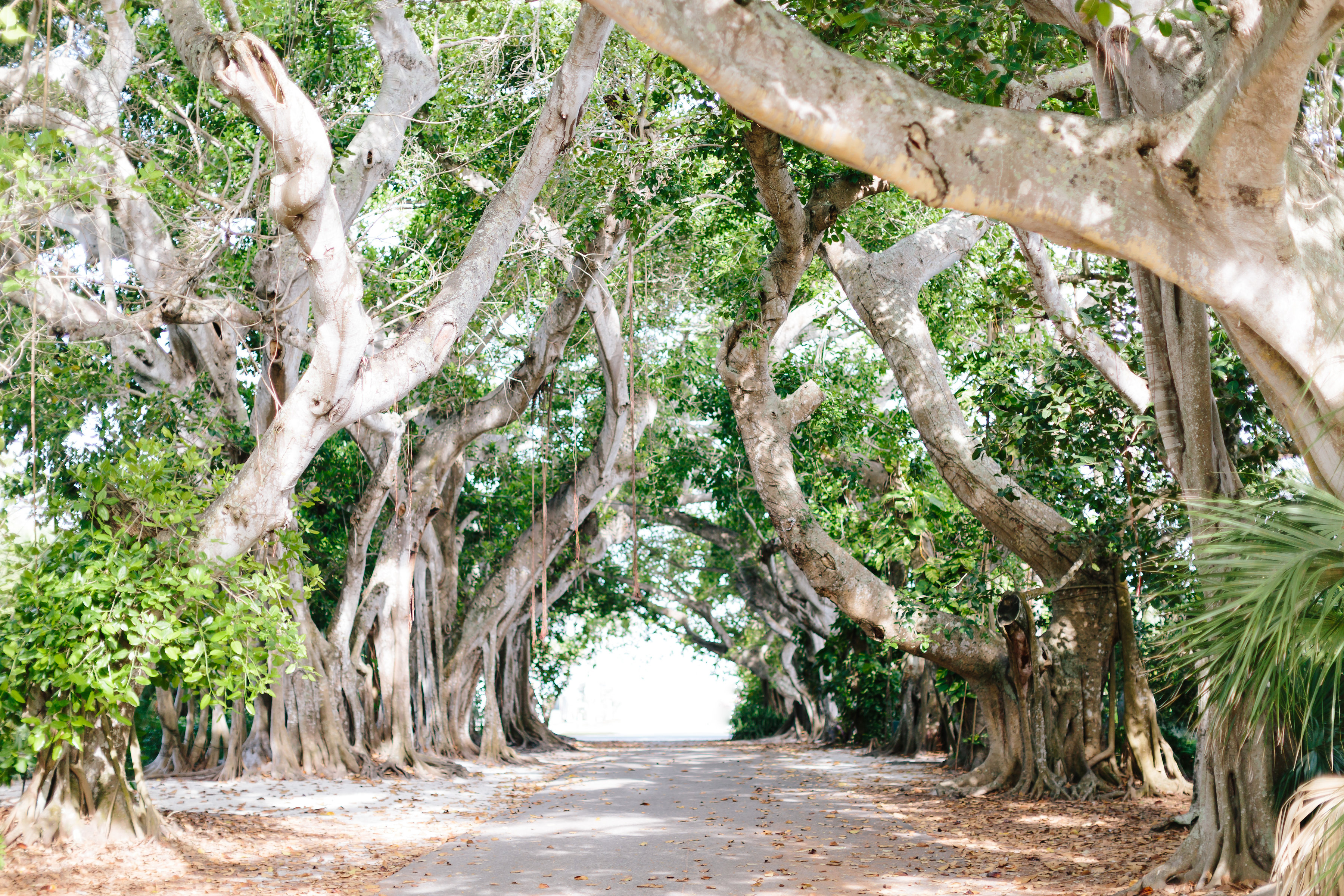 Make Main Island Lifestyle Photo The Gasparilla Inn & Club