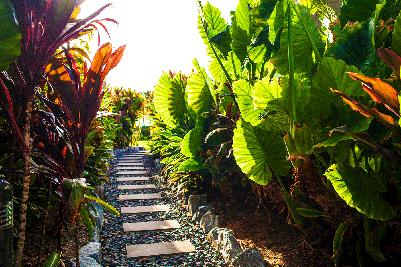 42-Hamilton-Island-Yacht-Club-Villas Hamilton Island Yacht Club