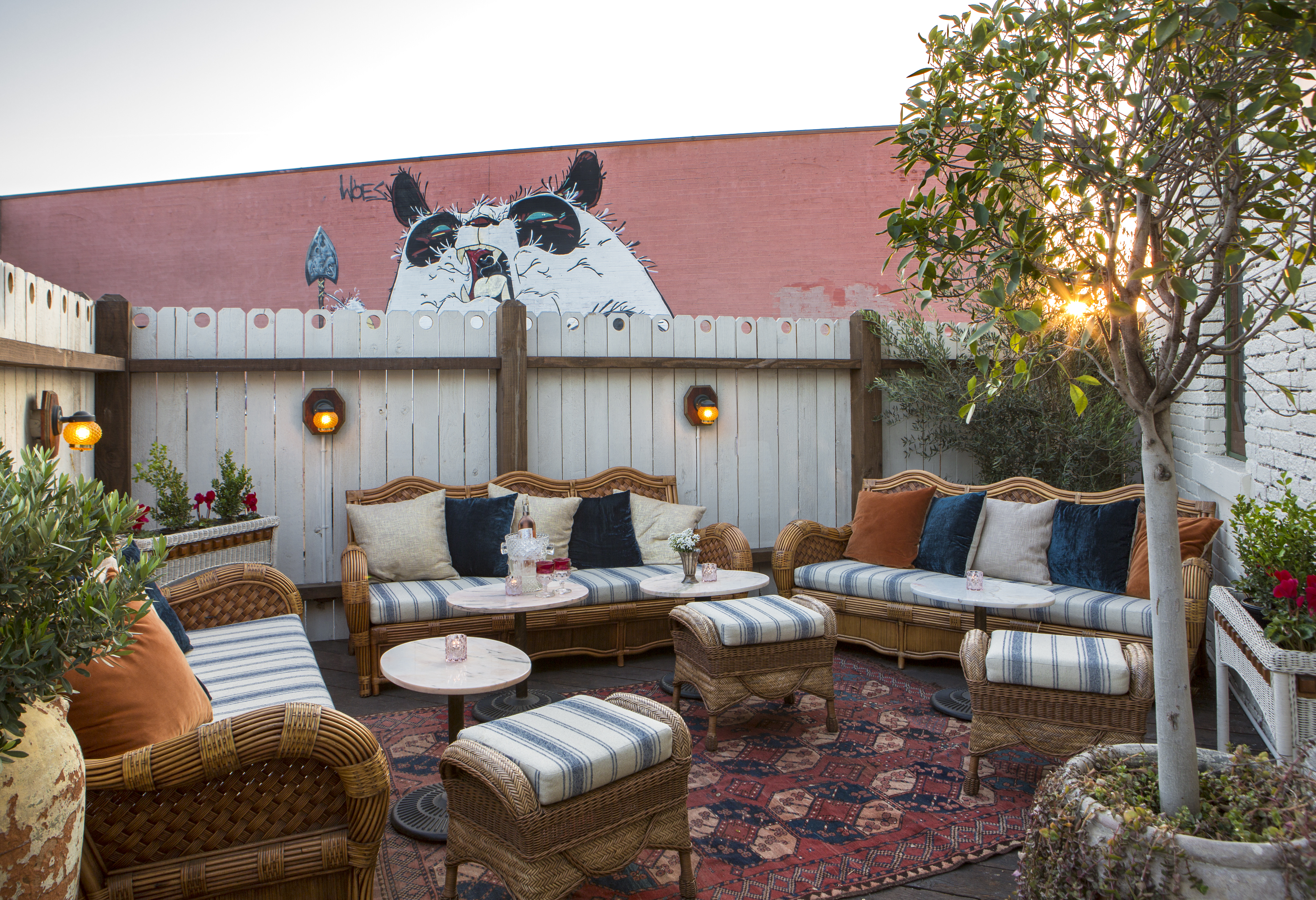 2914-MasterX Apotheke LA